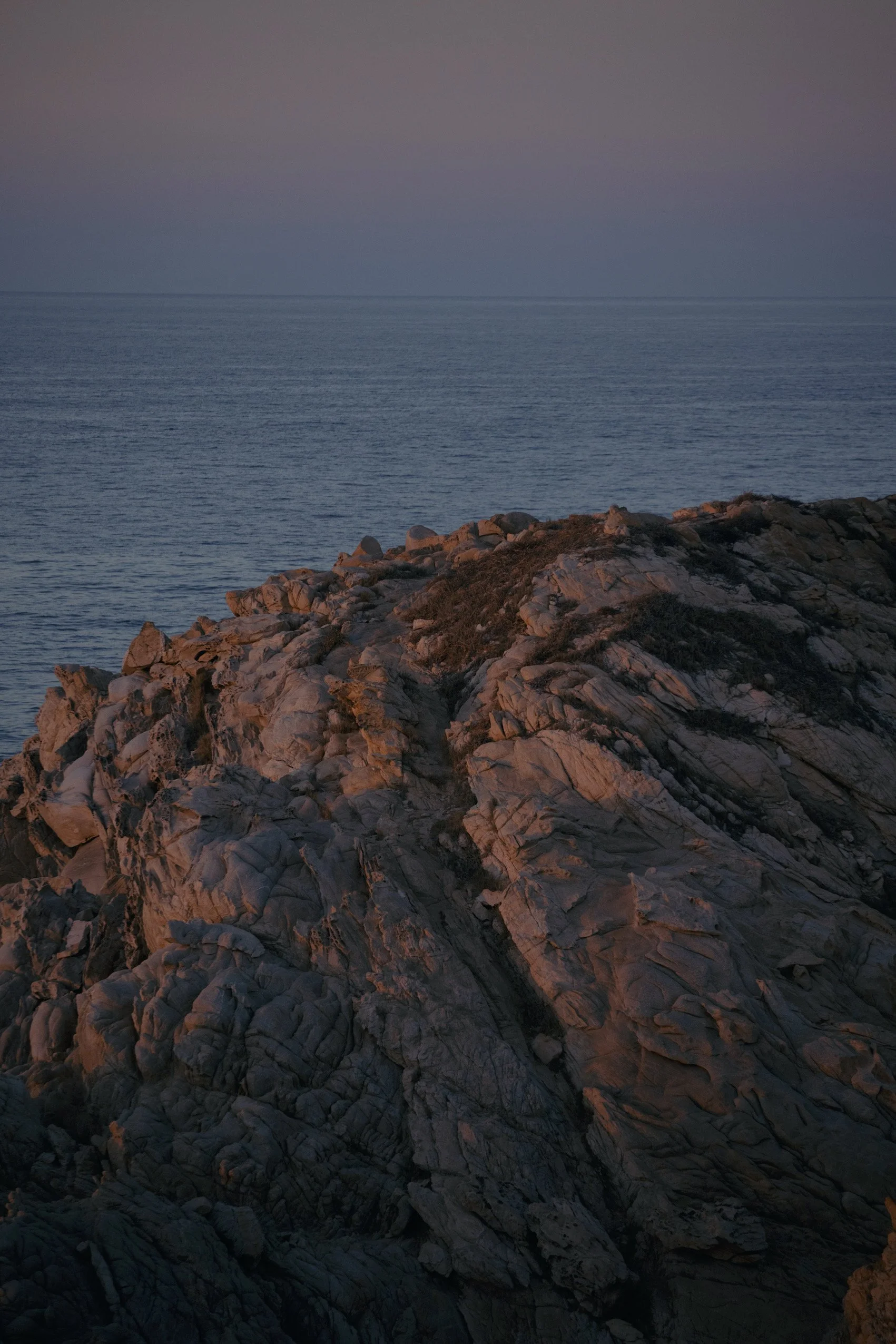 4M5A5344 Photofield.JPG