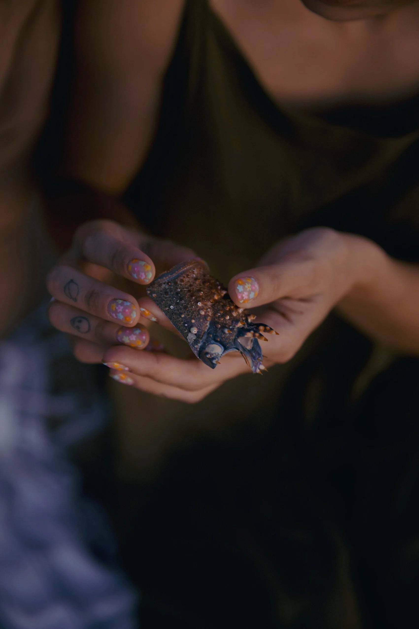 4M5A5318 Photofield.JPG