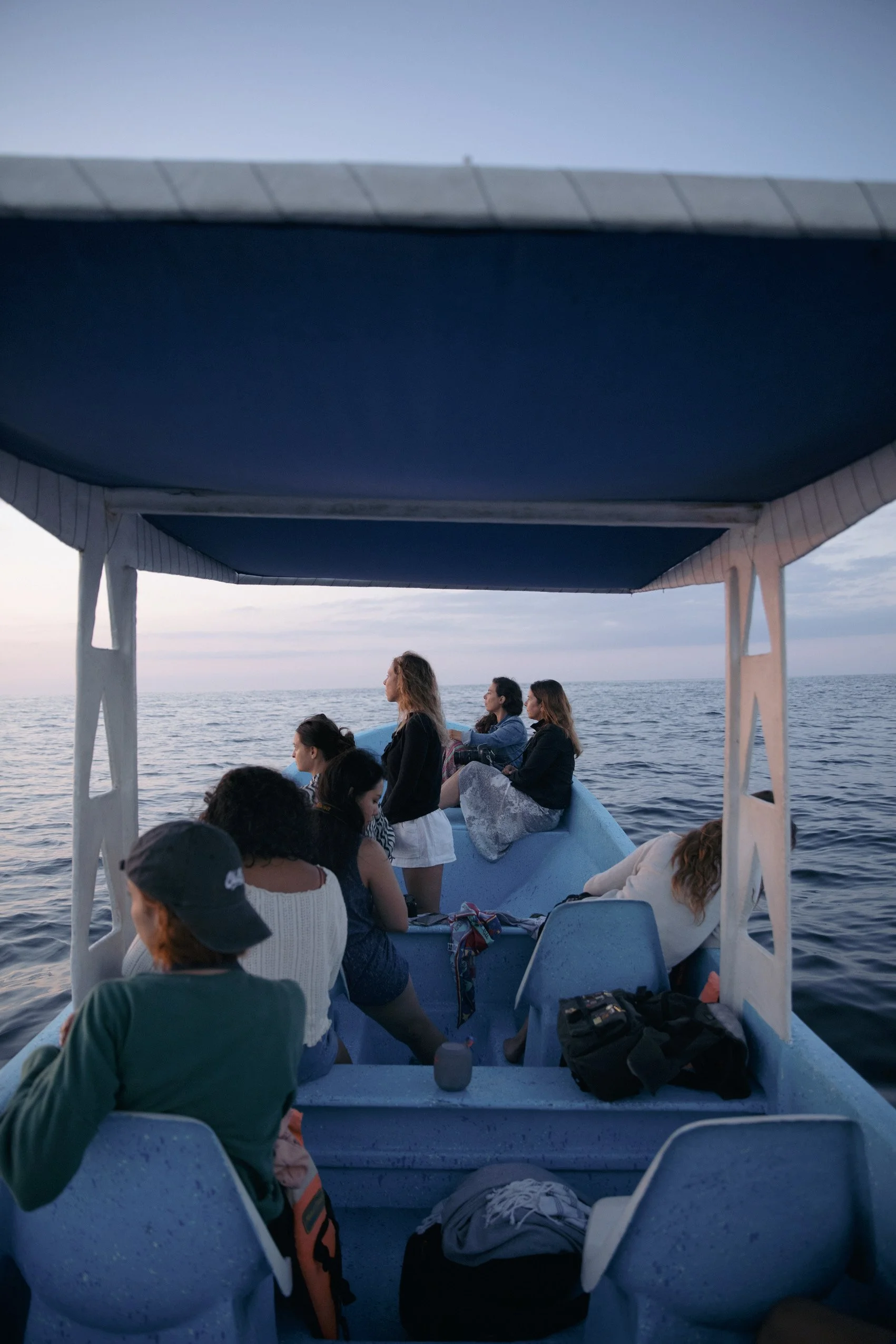 4M5A6004 Photofield.JPG