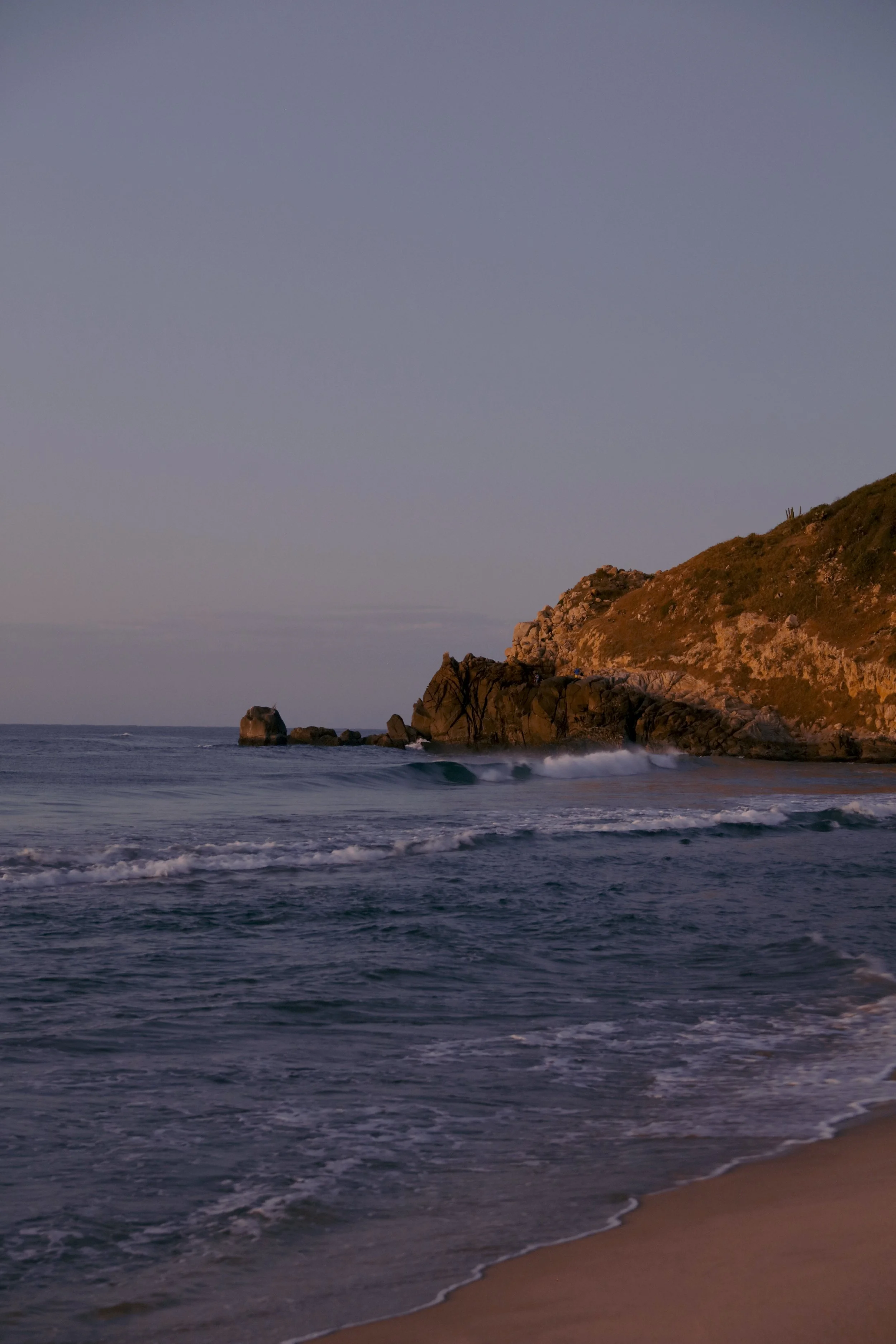 4M5A5541 Photofield.JPG