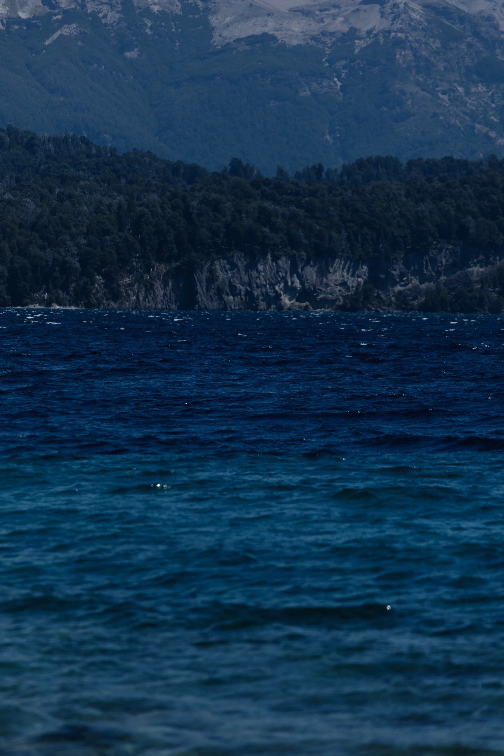 C7BECA3E-EE15-43E7-90A2-2D8213613D8D_333F7CF1-9290-4059-A348-580B60EEE6F0-VSCO.jpeg