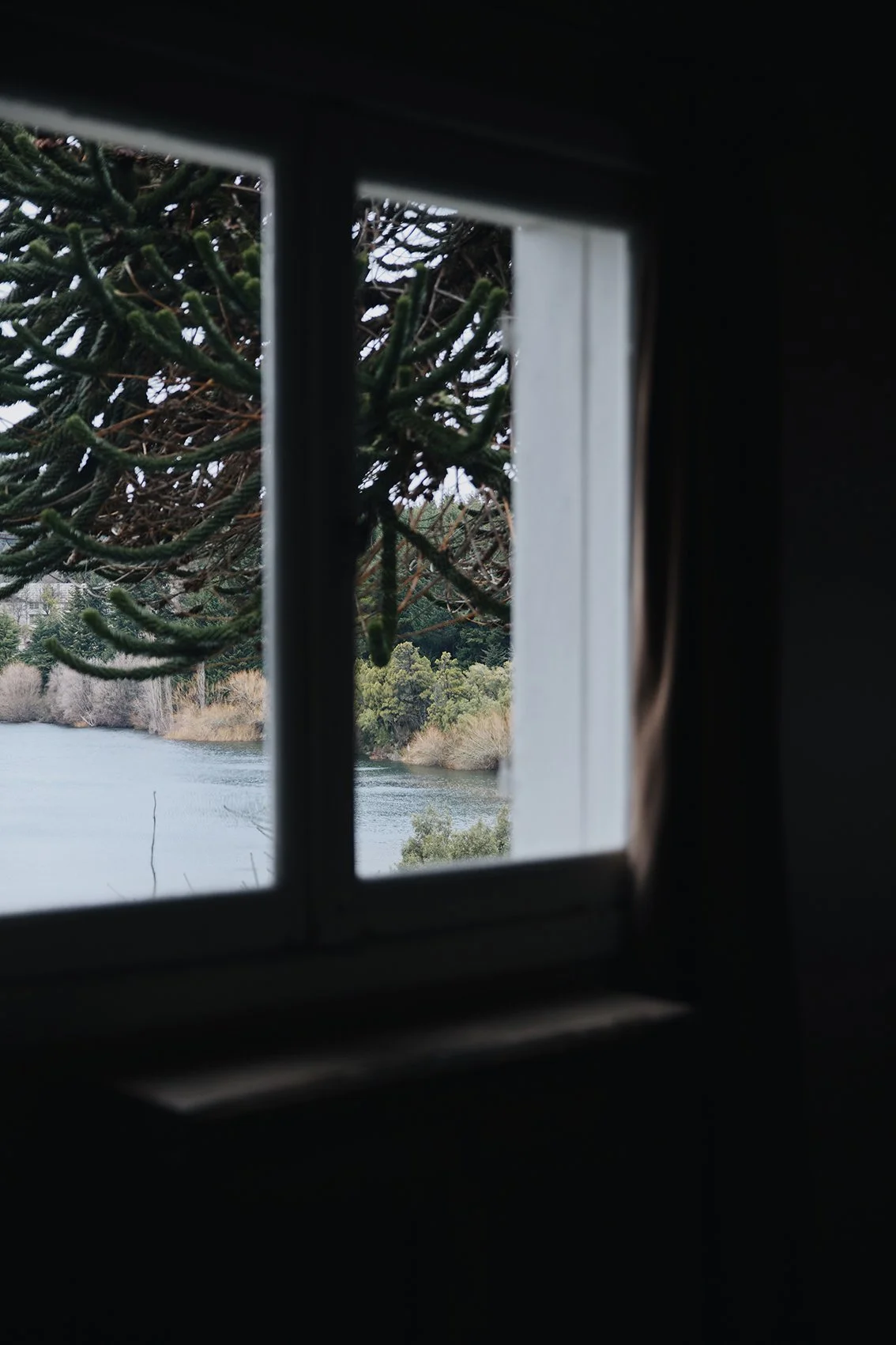 9012BB27-110C-498E-B54A-A70DA339866D 2.jpg