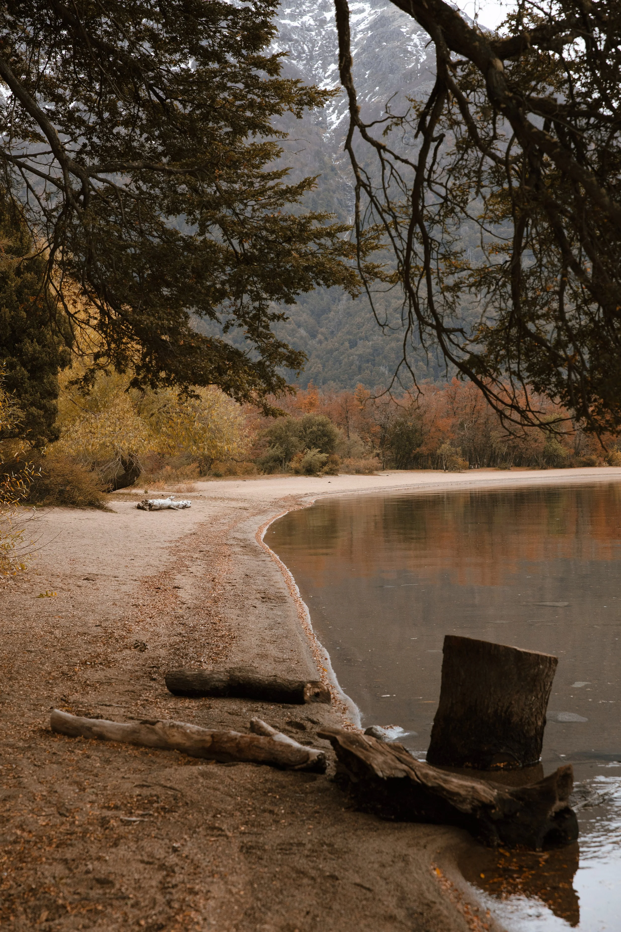 4M5A4257 Photofield.jpg