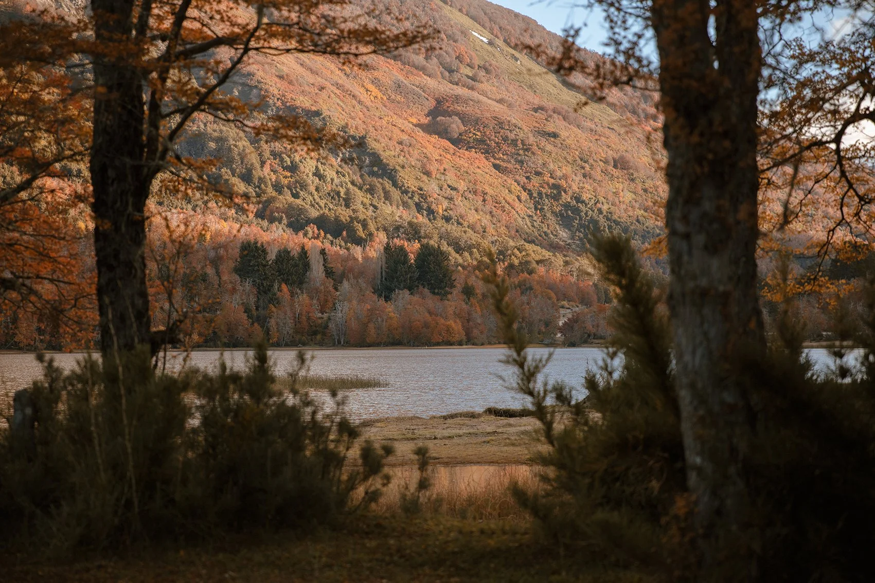 4M5A3886 Photofield 2.jpg