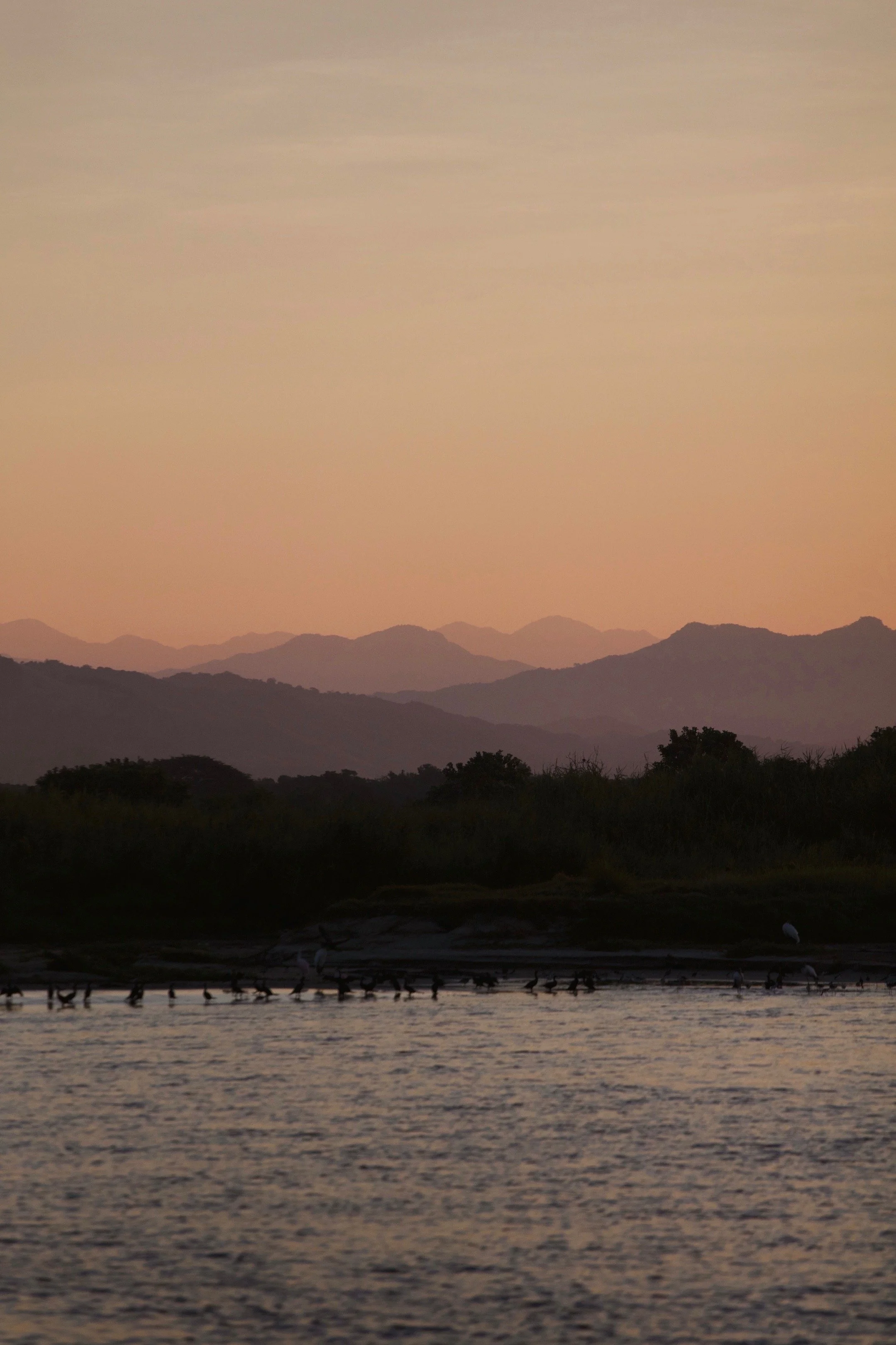 b50f6922-efa1-4826-a79d-4ee05fae35c1.JPG