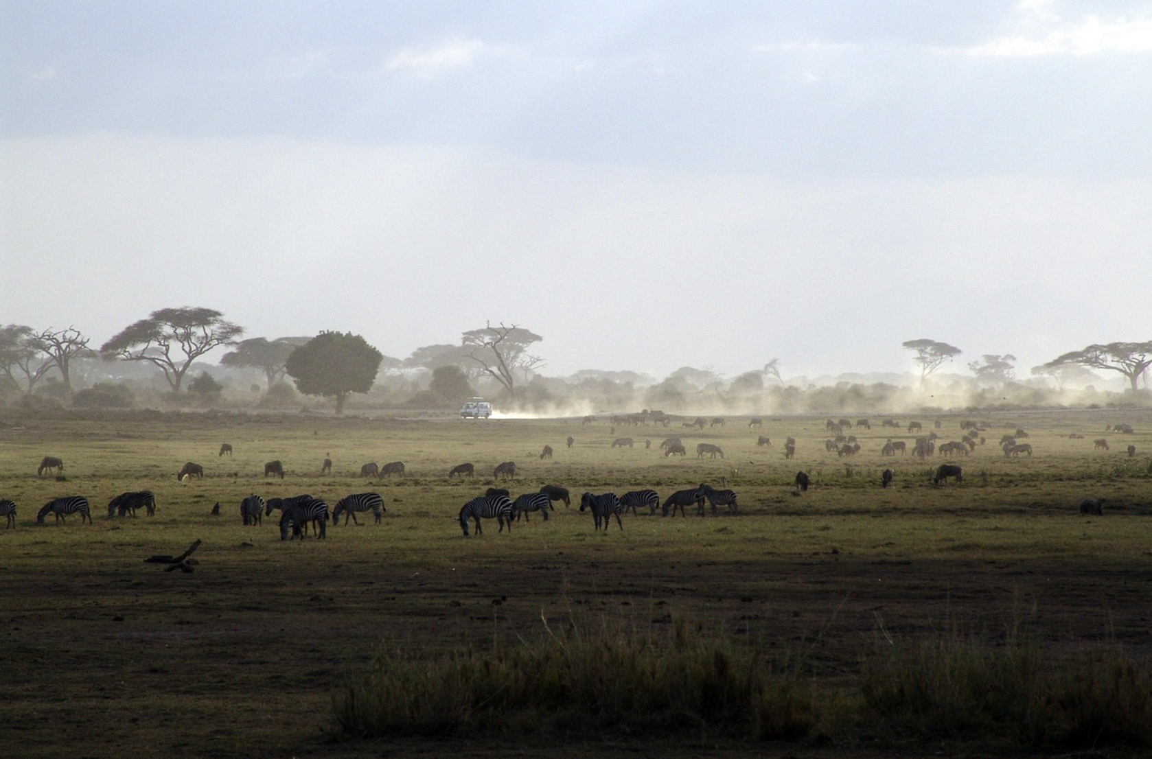 Captura de pantalla 2025-02-12 a la(s) 8.35.00 p. m..png