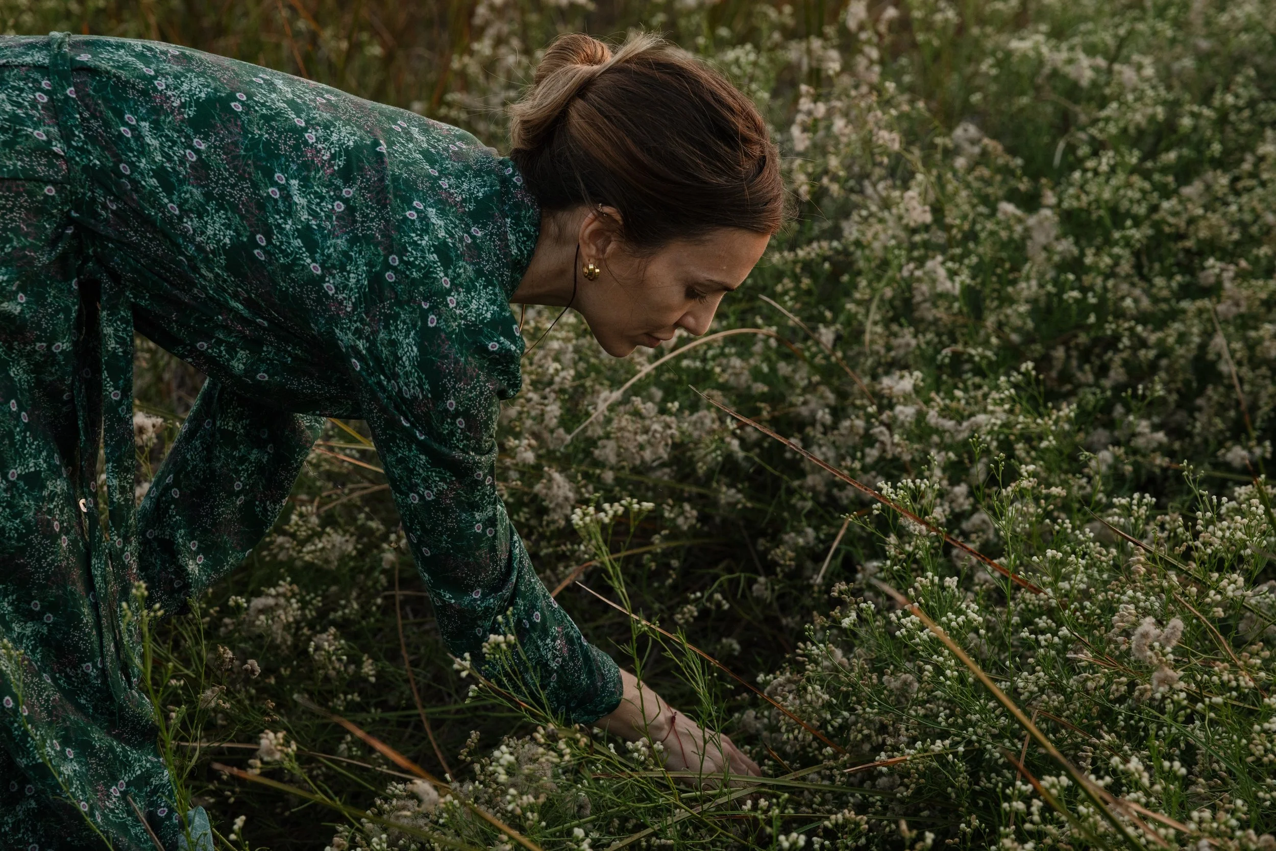 4M5A1773 Photofield.JPG