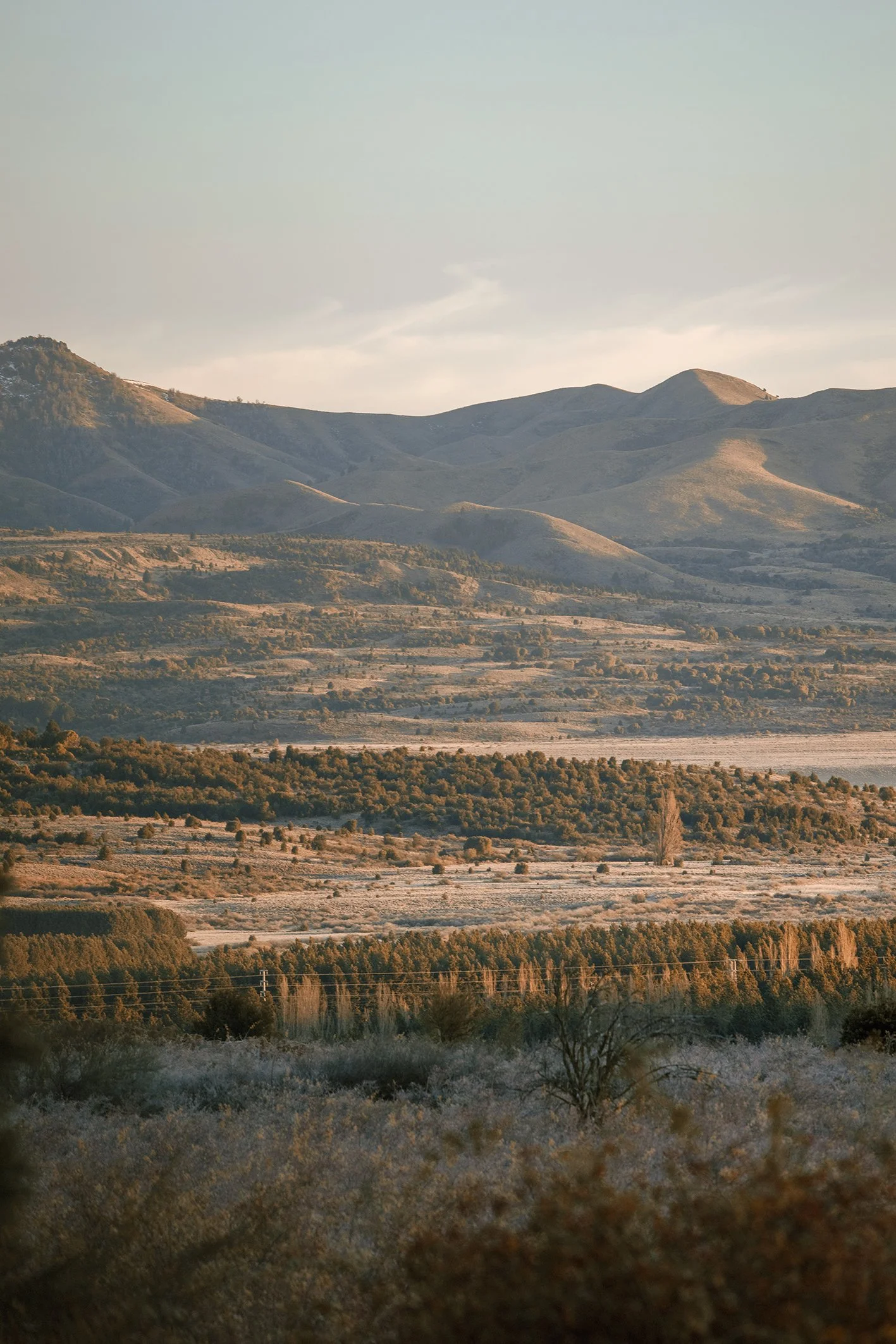 4M5A4438 Photofield.jpg