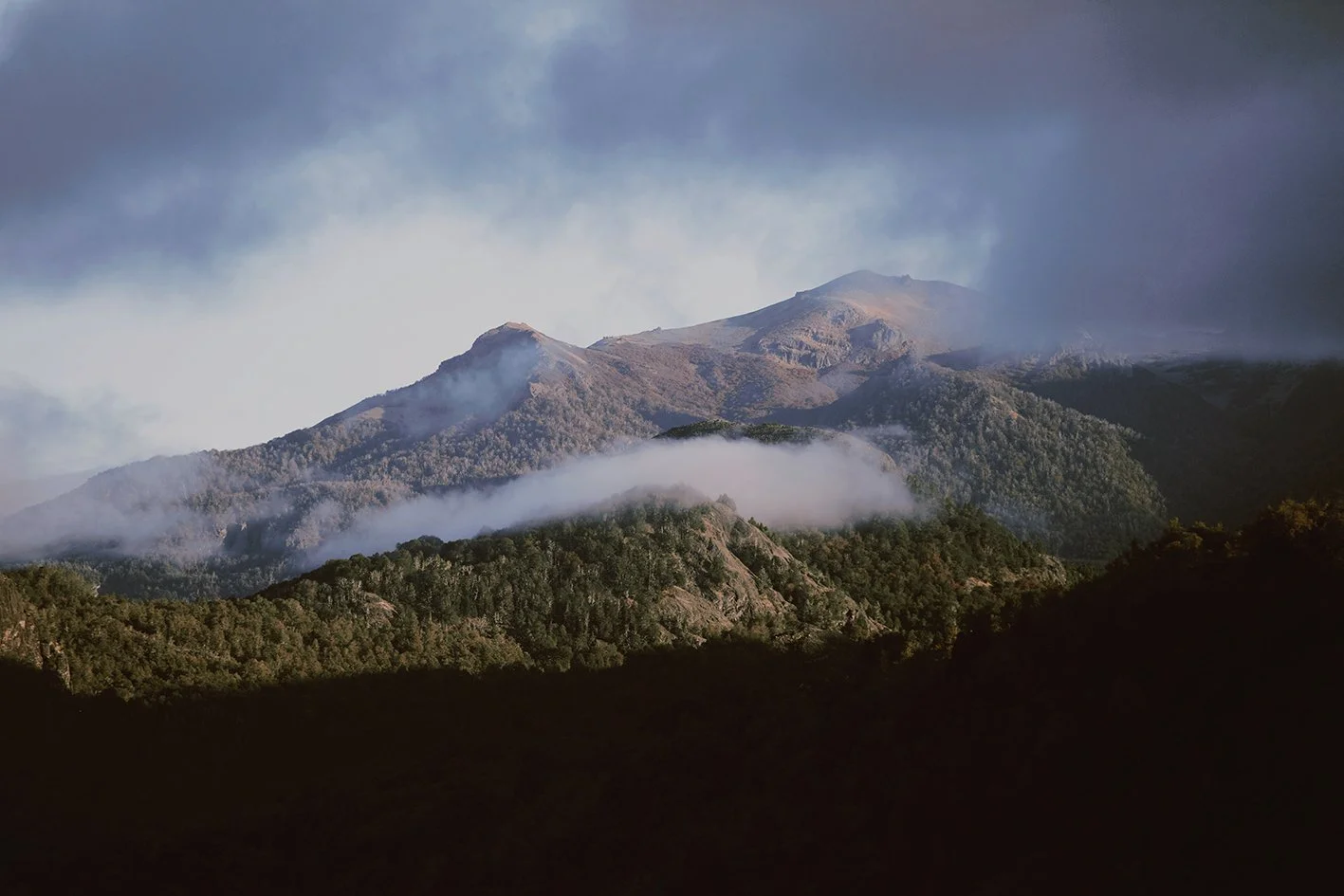 4M5A0493 Photofield.jpg