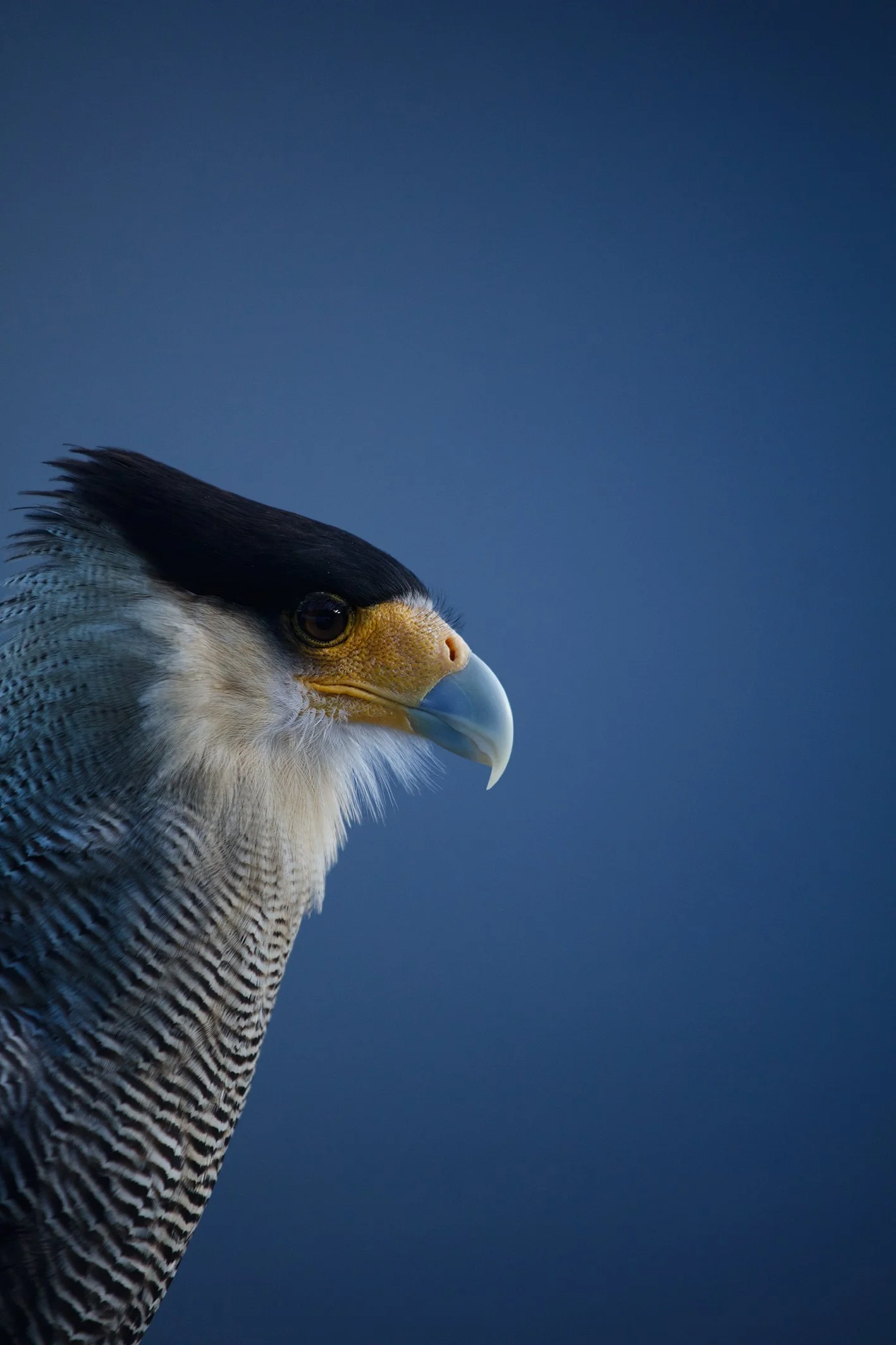 AB89775C-8007-4E6F-849E-88B67FBFE3E3 2.jpg