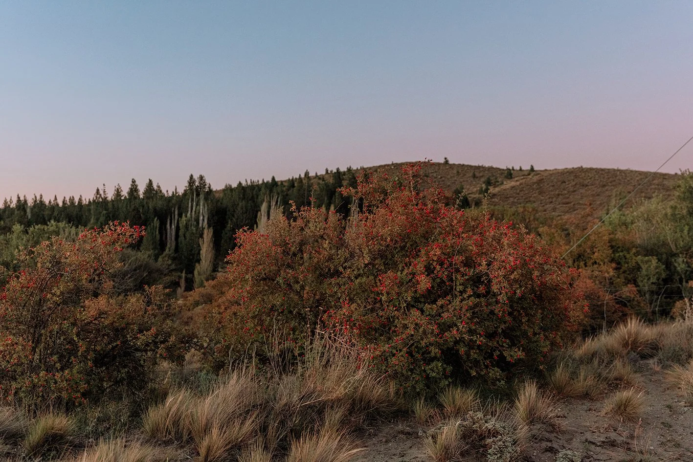 4M5A2144 Photofield.jpg