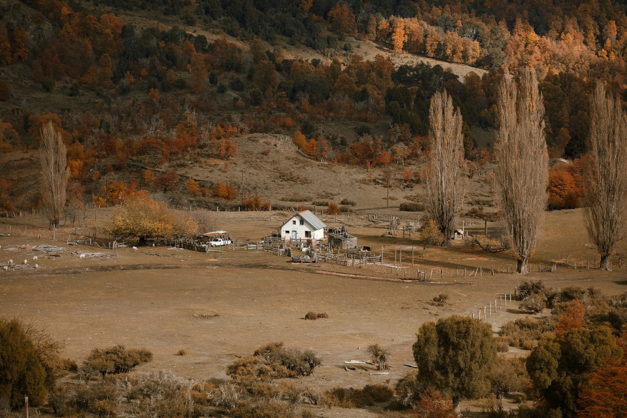 4M5A3762 Photofield.jpg