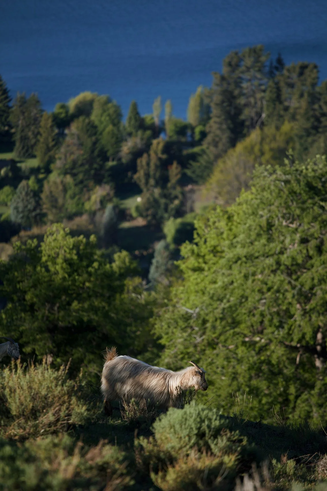 0C83C5D7-E245-4063-BC27-A971378B16EA 2.jpg