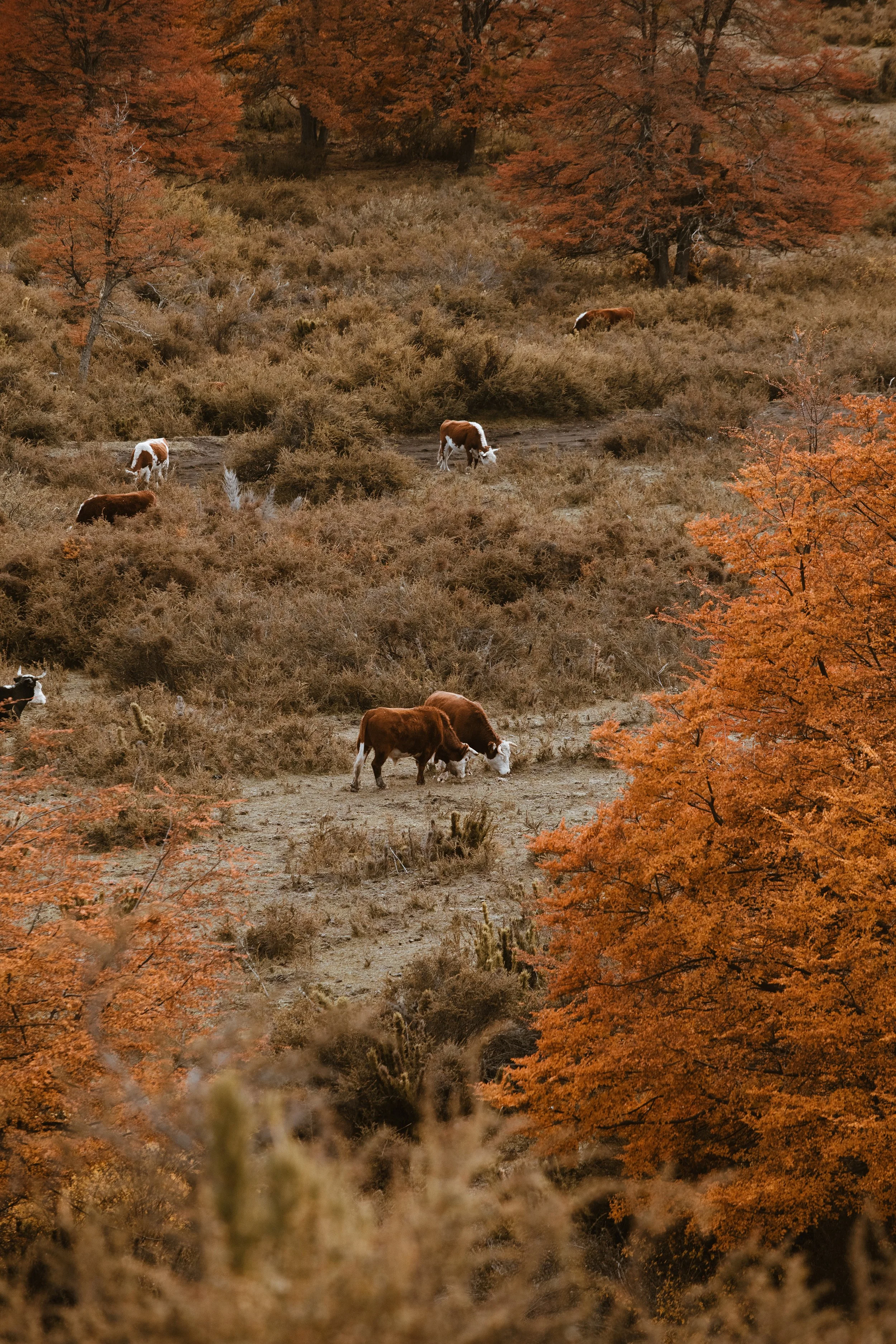 4M5A3778 Photofield.jpg