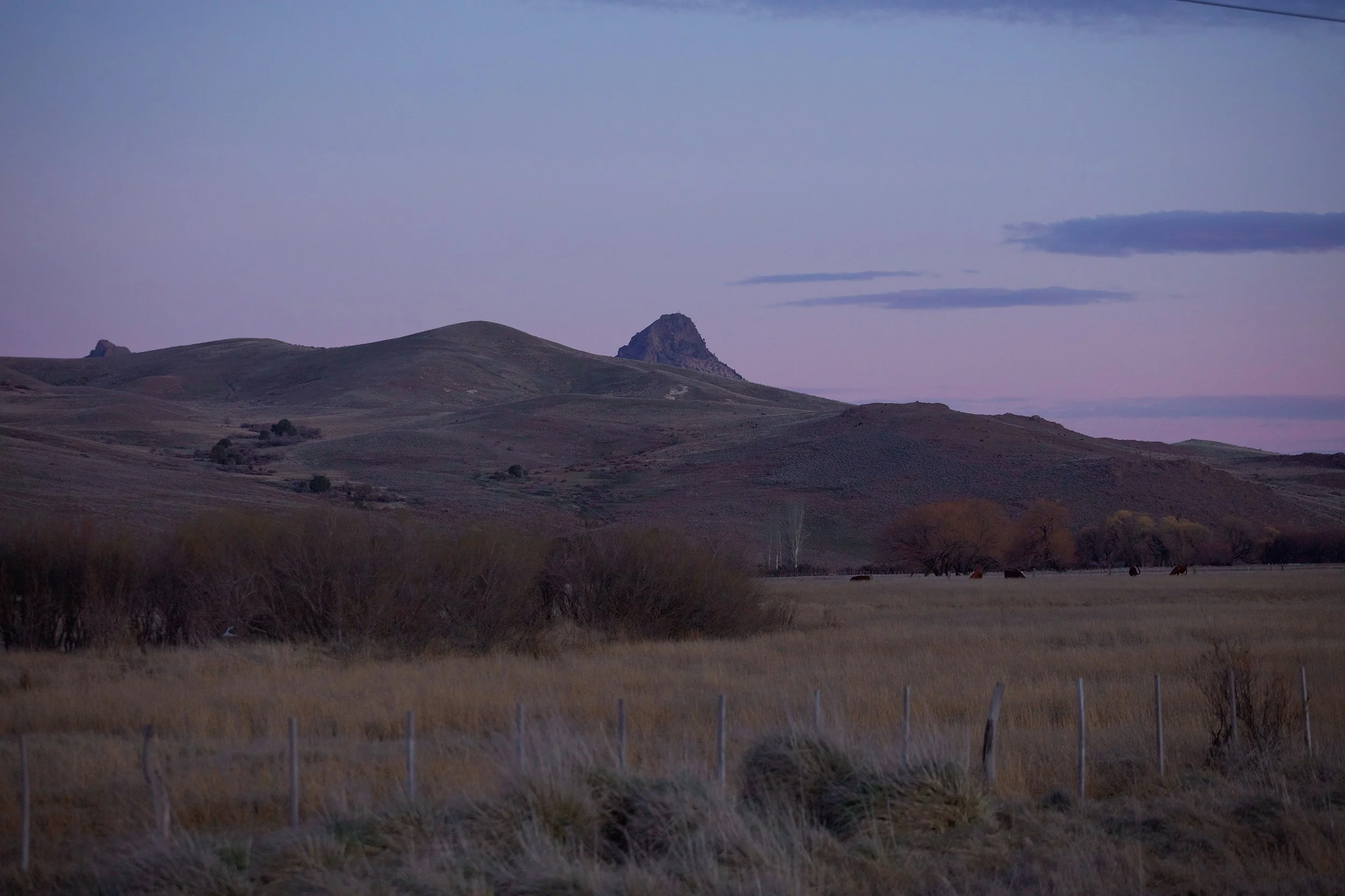 4M5A8602 Photofield.jpg