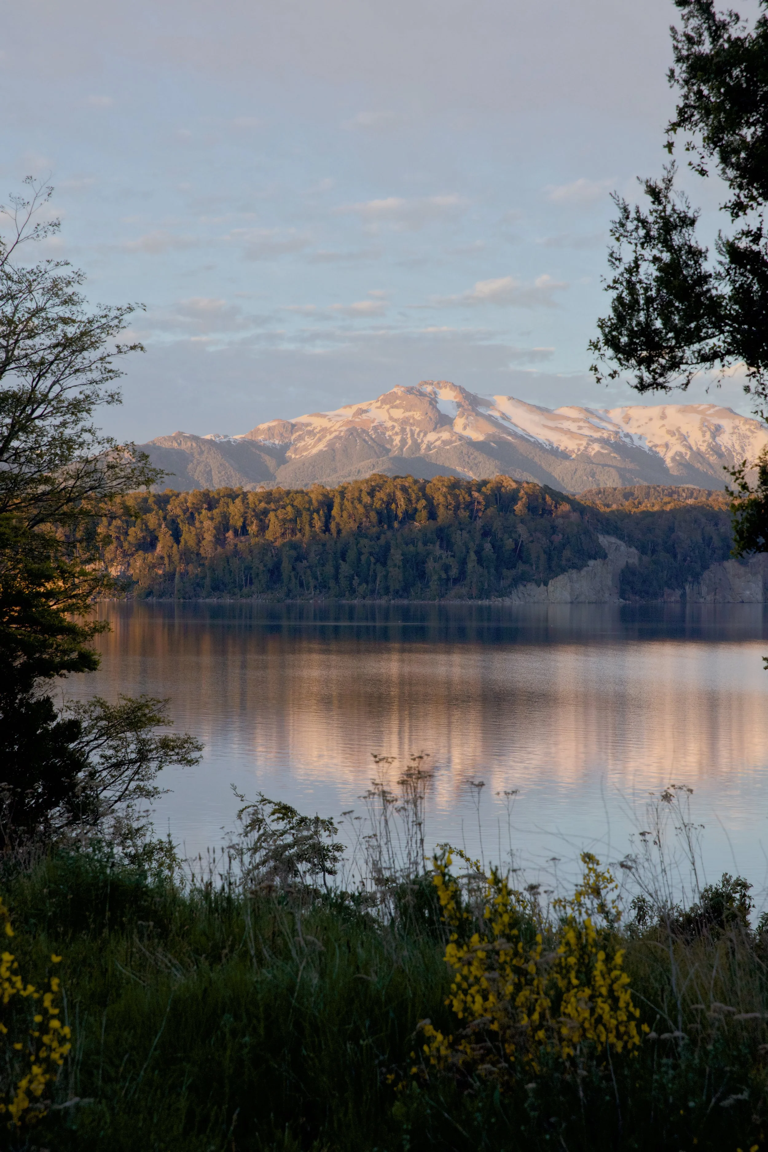 F584A5DD-D2AD-46A8-9814-23A45FF67CFF Photofield.jpg