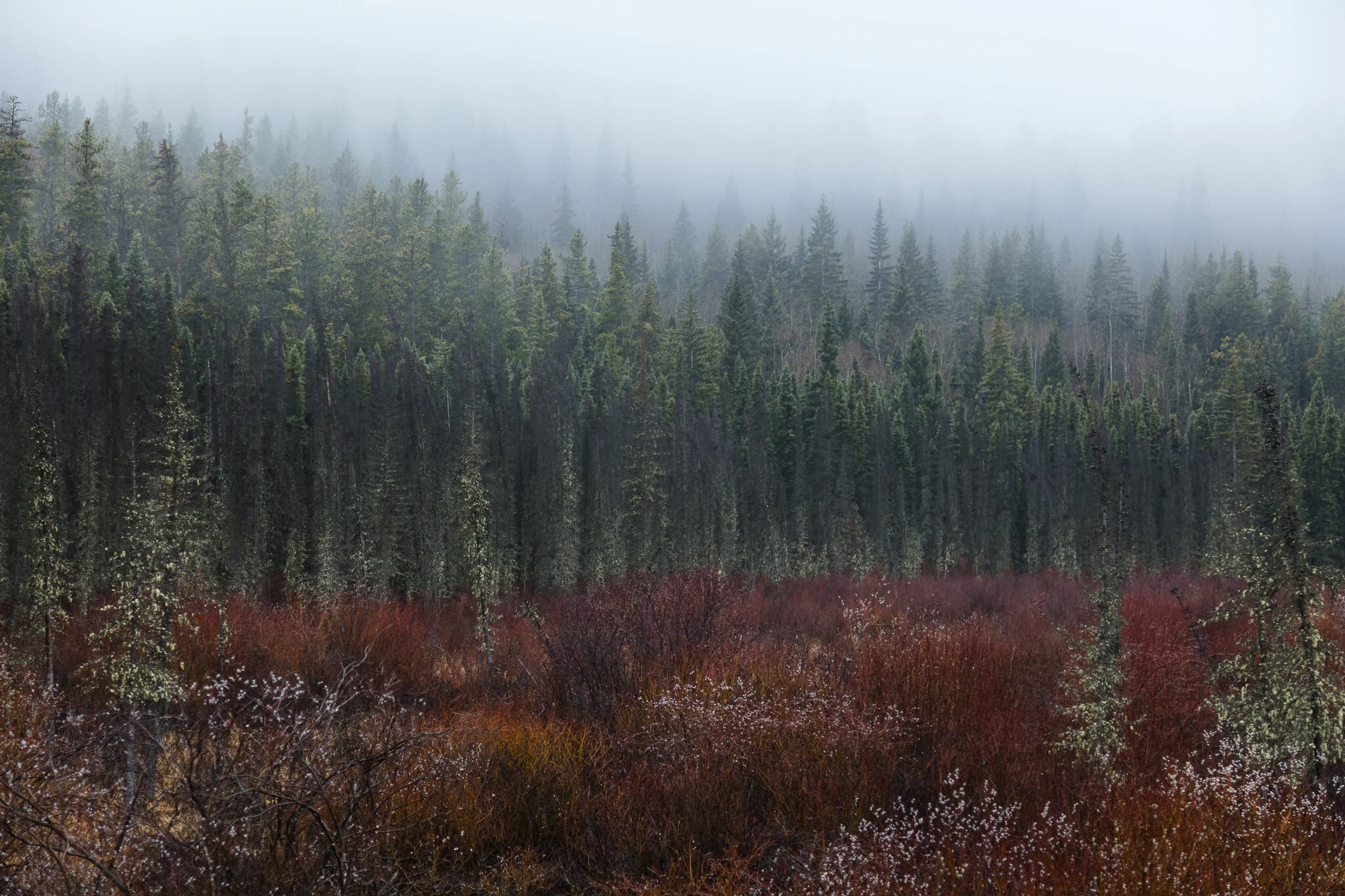 4M5A4918_original alta.jpg