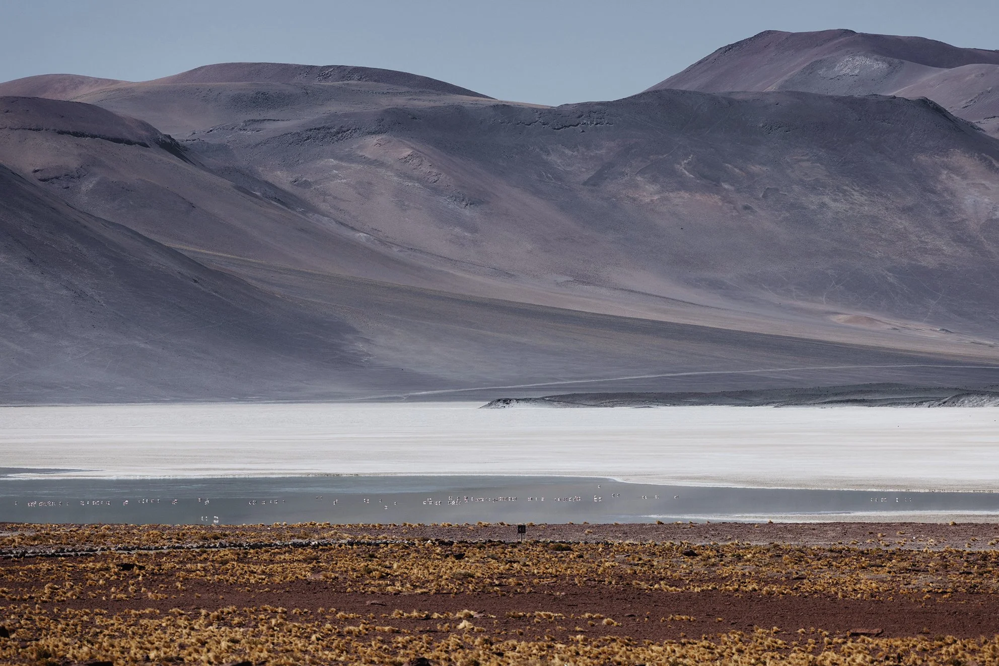 083A6653_VSCO_atacama.jpg