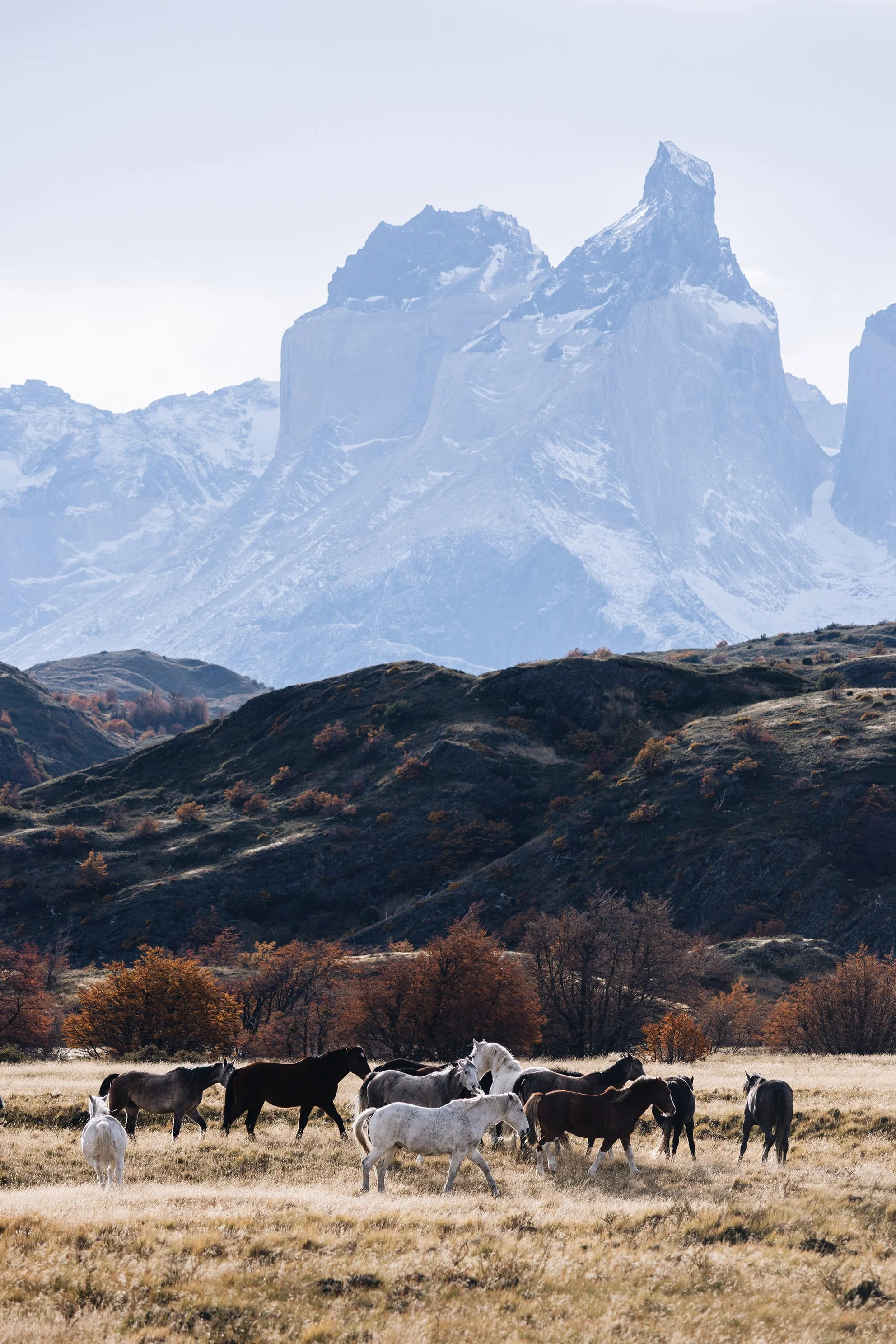 083A8324_VSCO_torresdelpaine.jpg