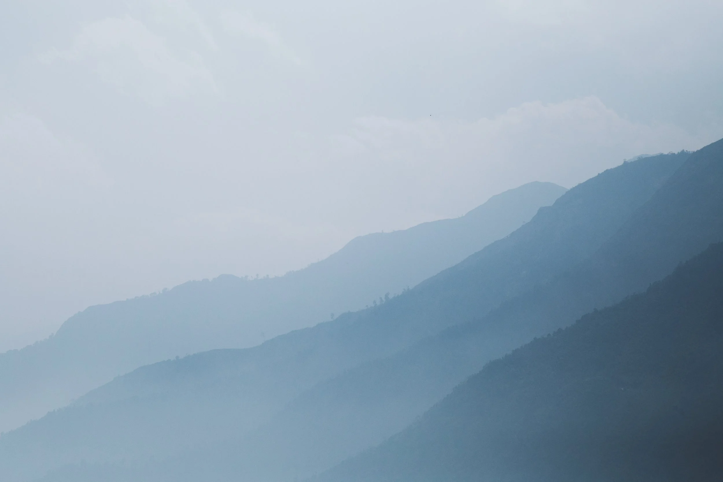 68B6525F-A0FC-4C40-AD20-1407E16DF1A1 2.JPG