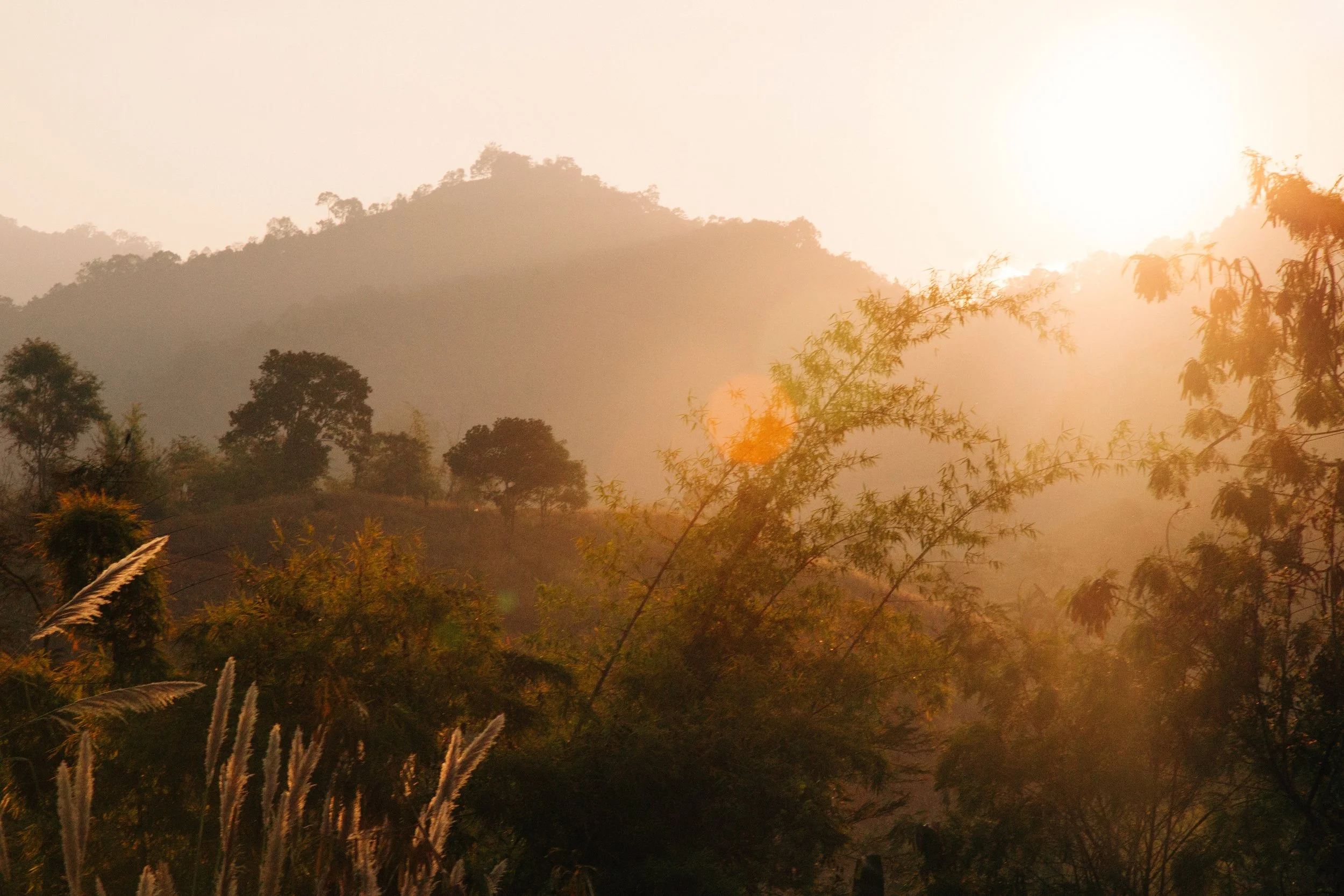 EEFC010A-6413-4E8C-8DB7-3ED3CC836F99 2.JPG