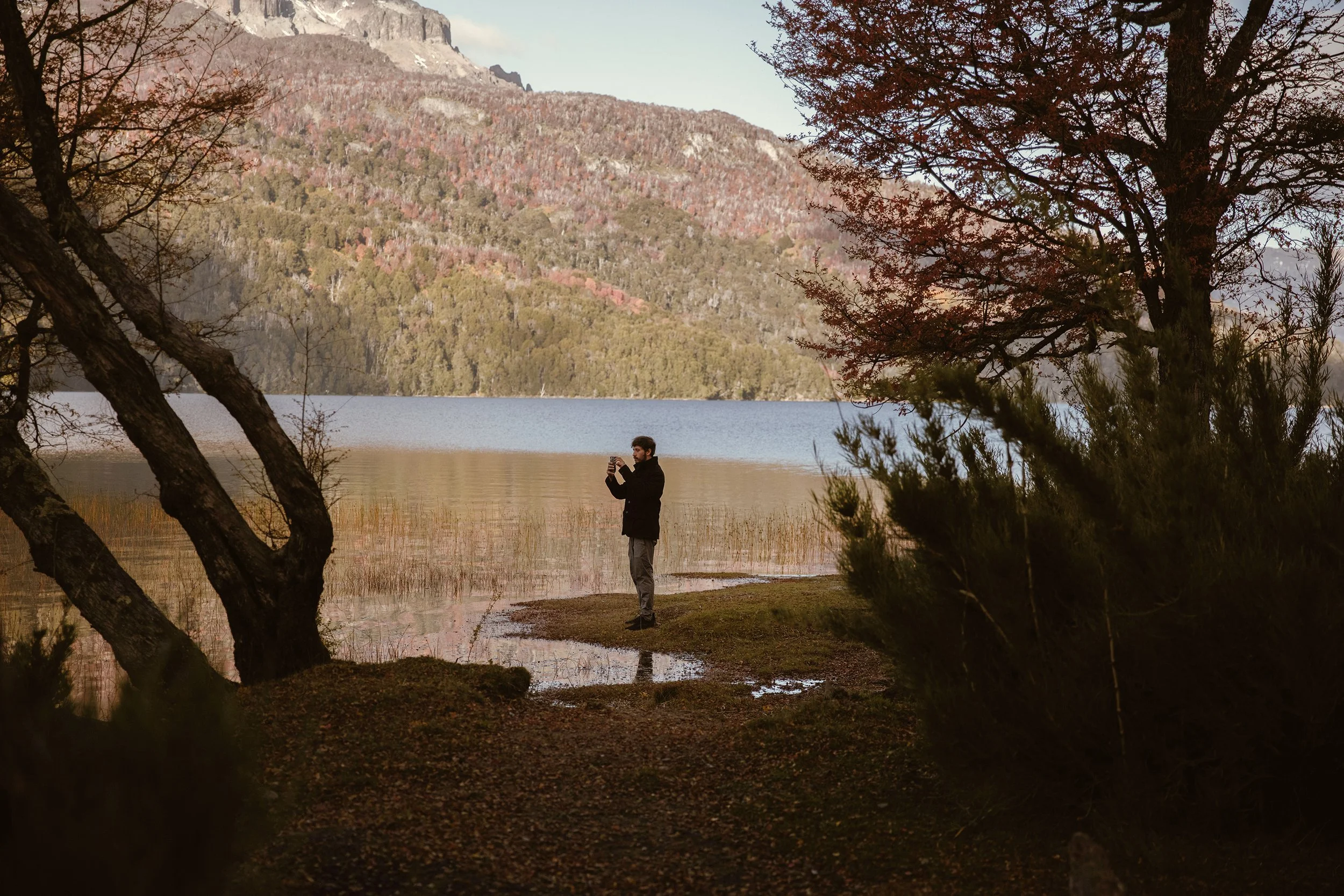 4M5A3885 Photofield.jpg