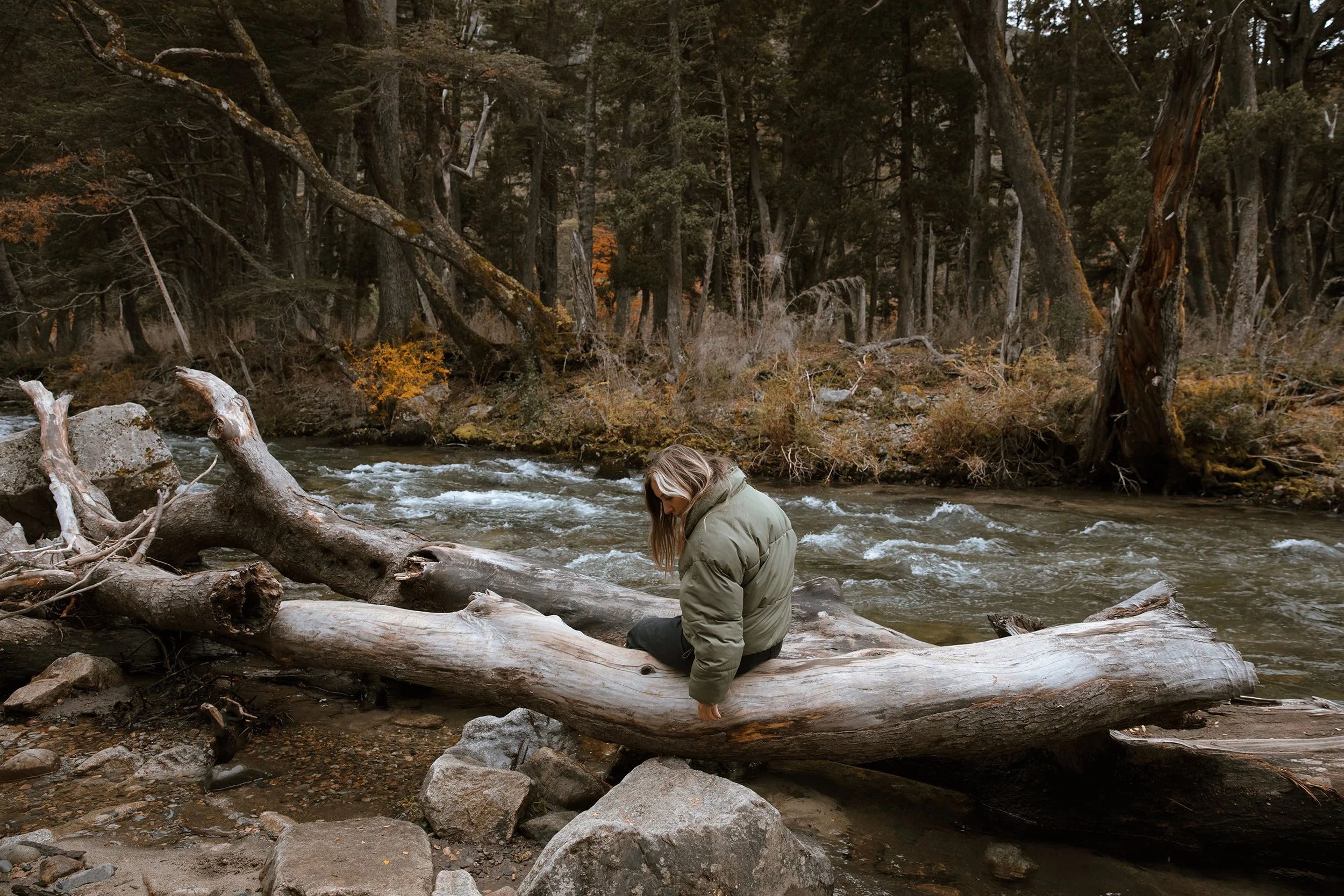 4M5A4244 Photofield.jpg