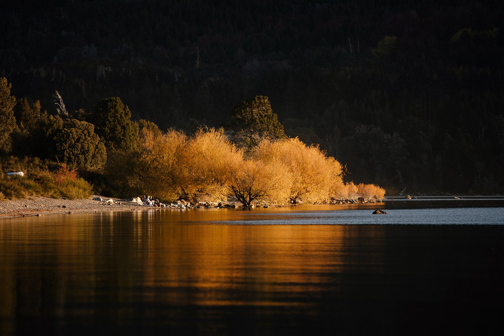 4M5A4032 Photofield.jpg