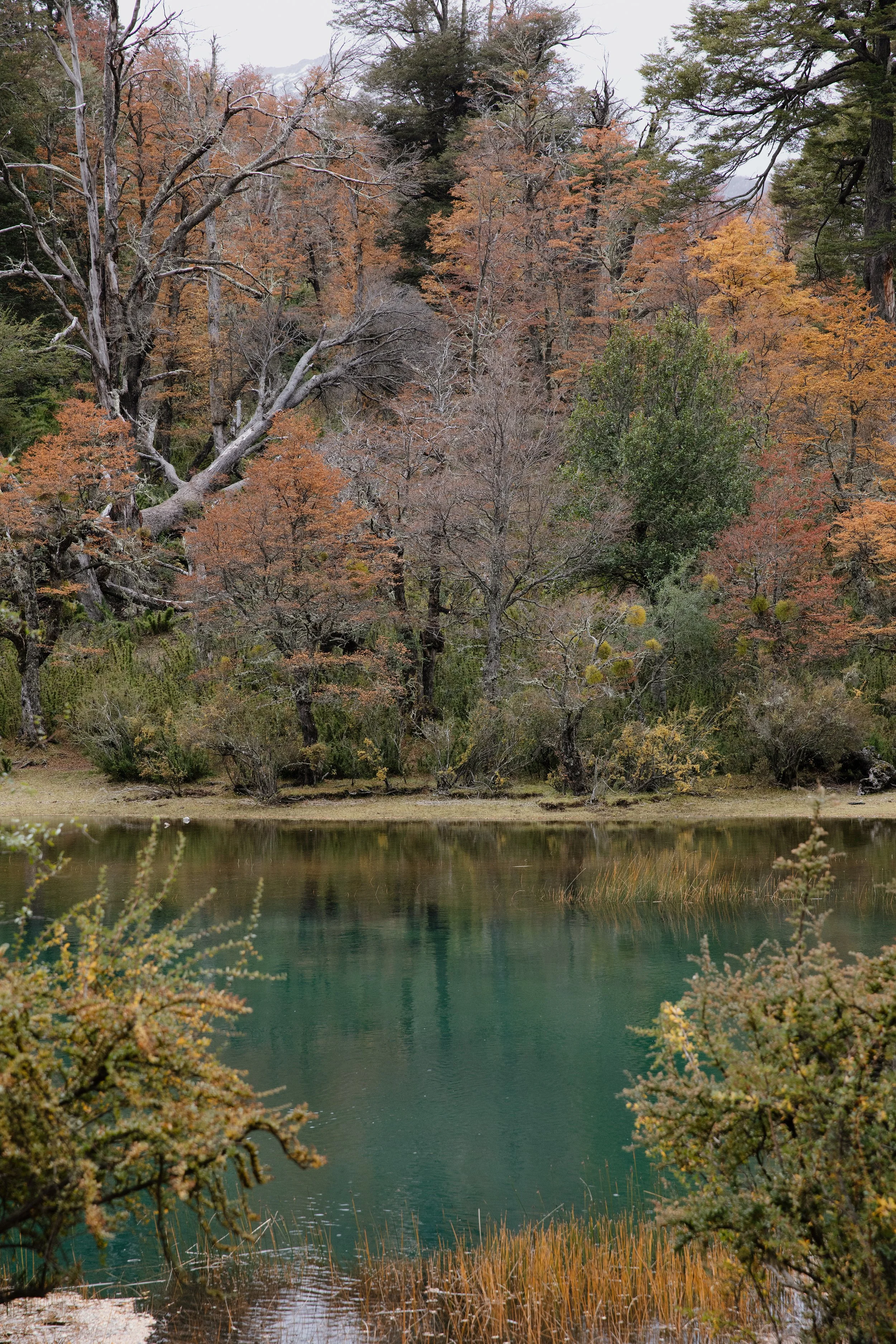 4M5A4179 Photofield 2.jpg