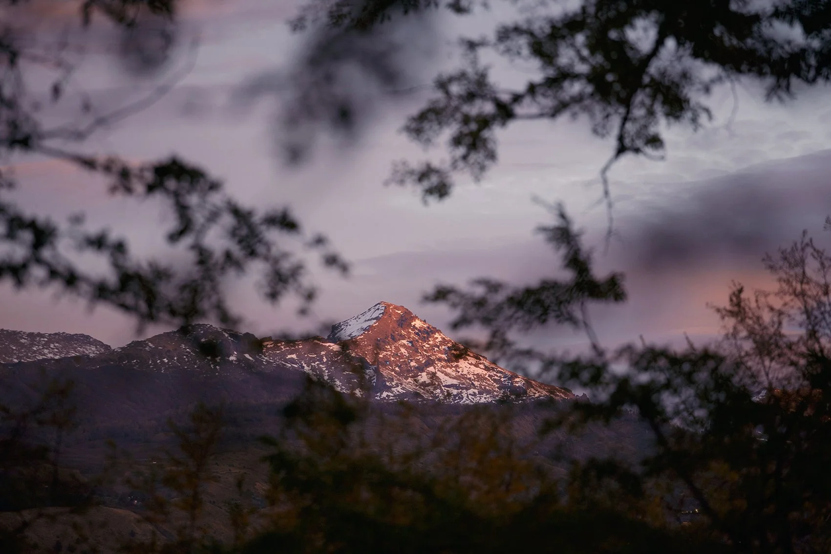 4M5A2933 Photofield 2.jpg