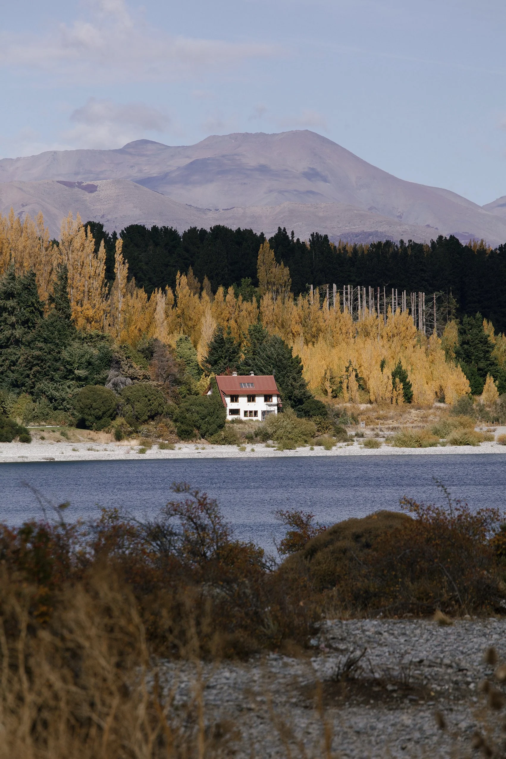 4M5A9610 Photofield.jpg