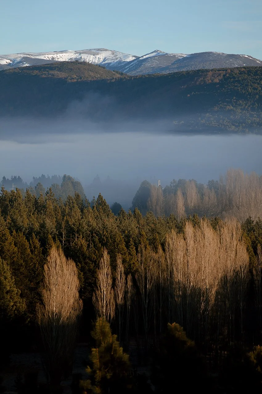 4M5A4463 Photofield_.jpg