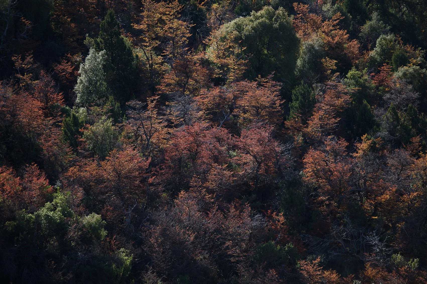 44A769A9-D5DA-4D0C-8562-E8AB9AED16CD 2.jpg