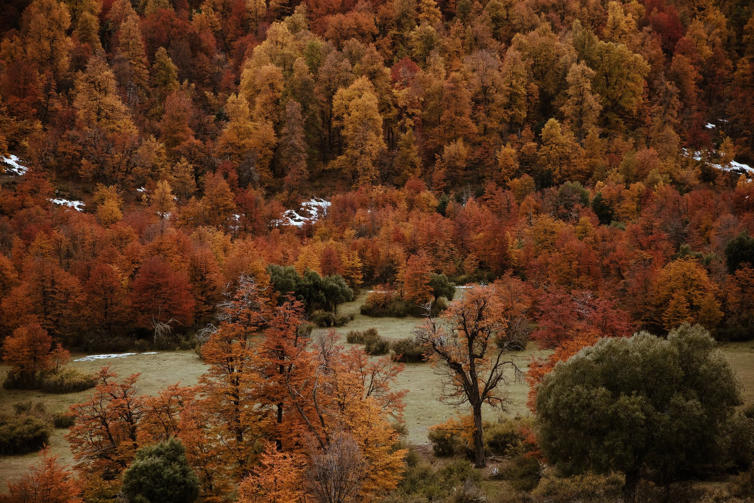 4M5A3758-2 Photofield.jpg