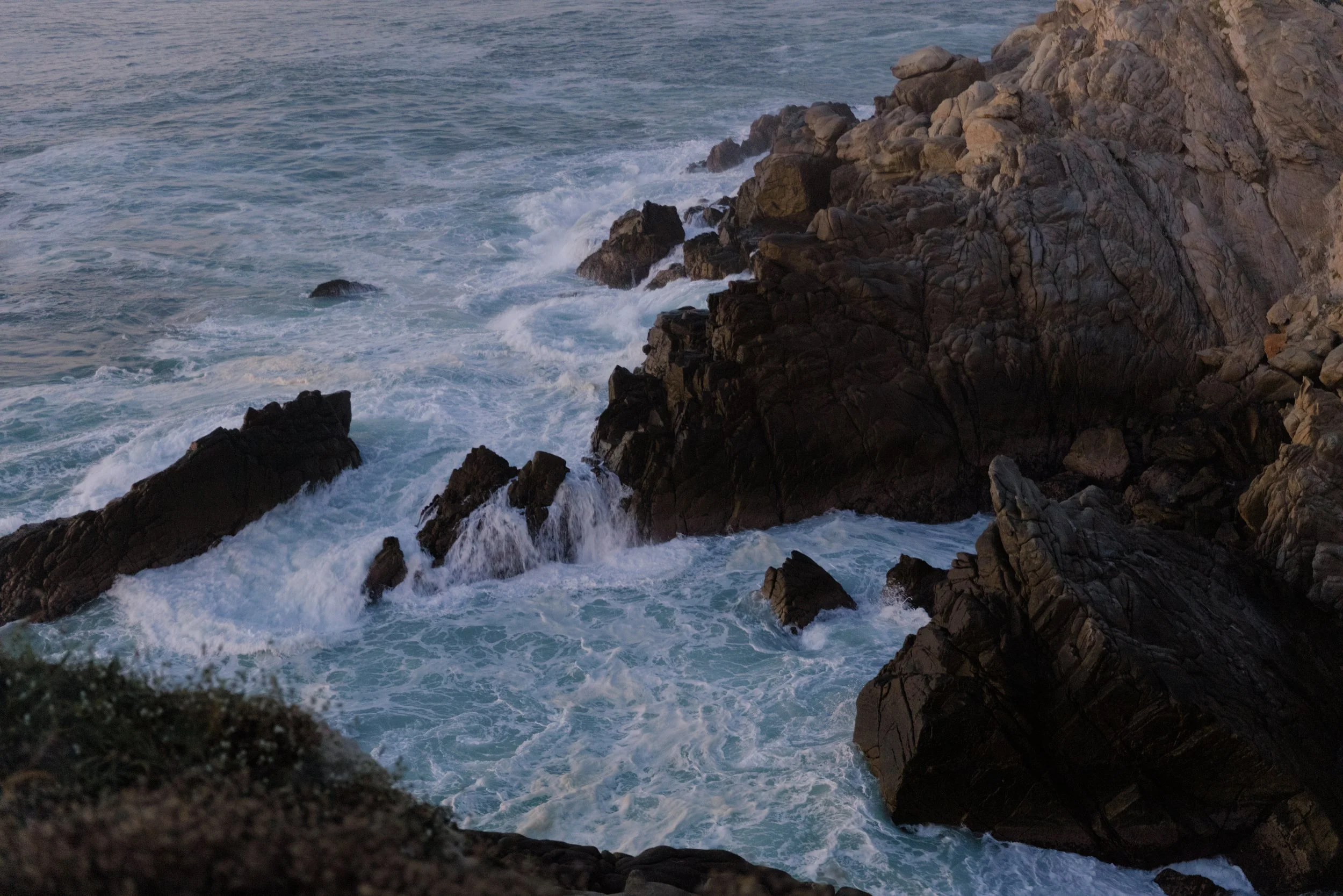 4M5A2688 Photofield.JPG