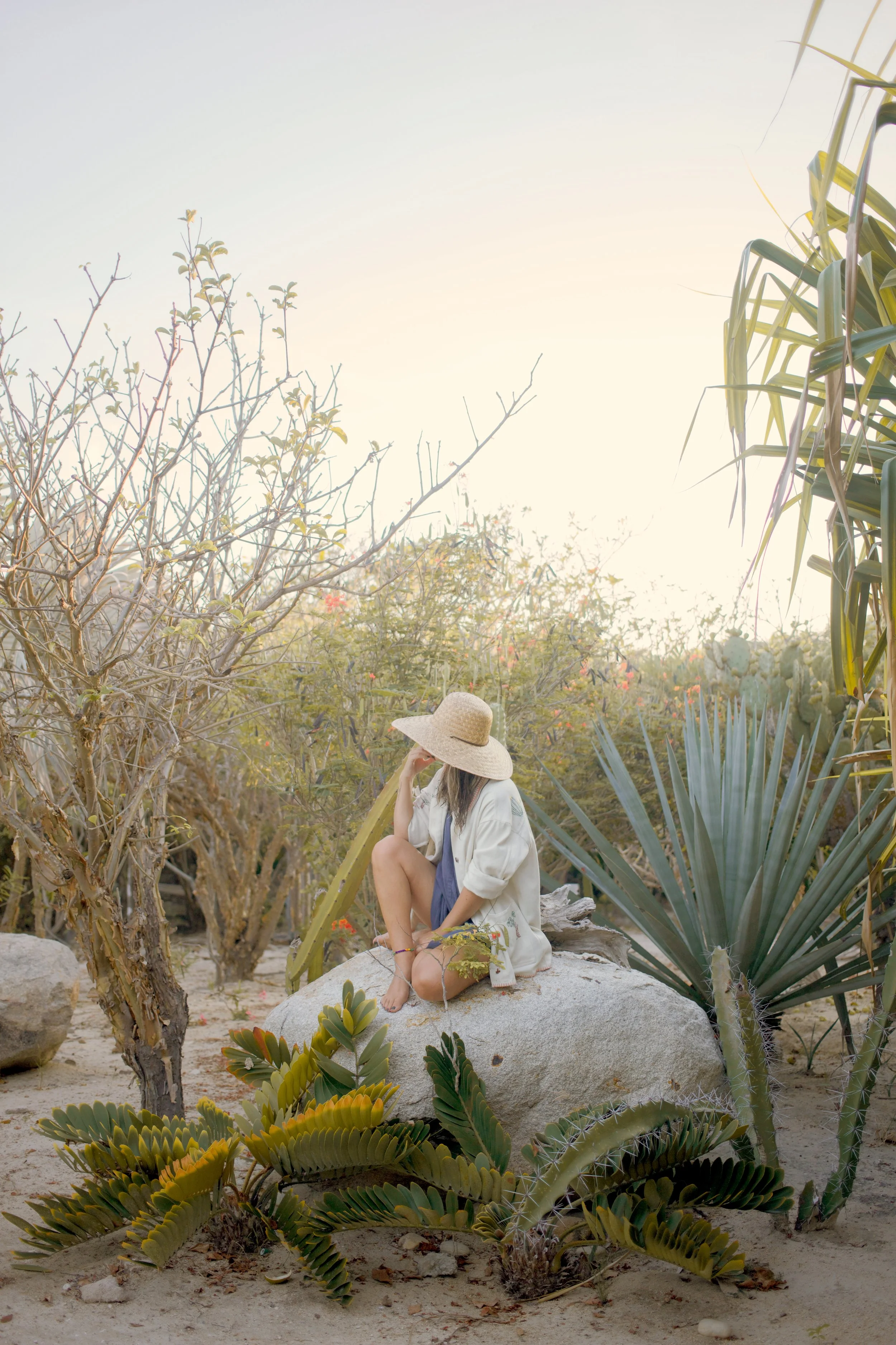 BDE5C88C-D5CA-4E86-97C0-99F1E367113A Photofield.JPG