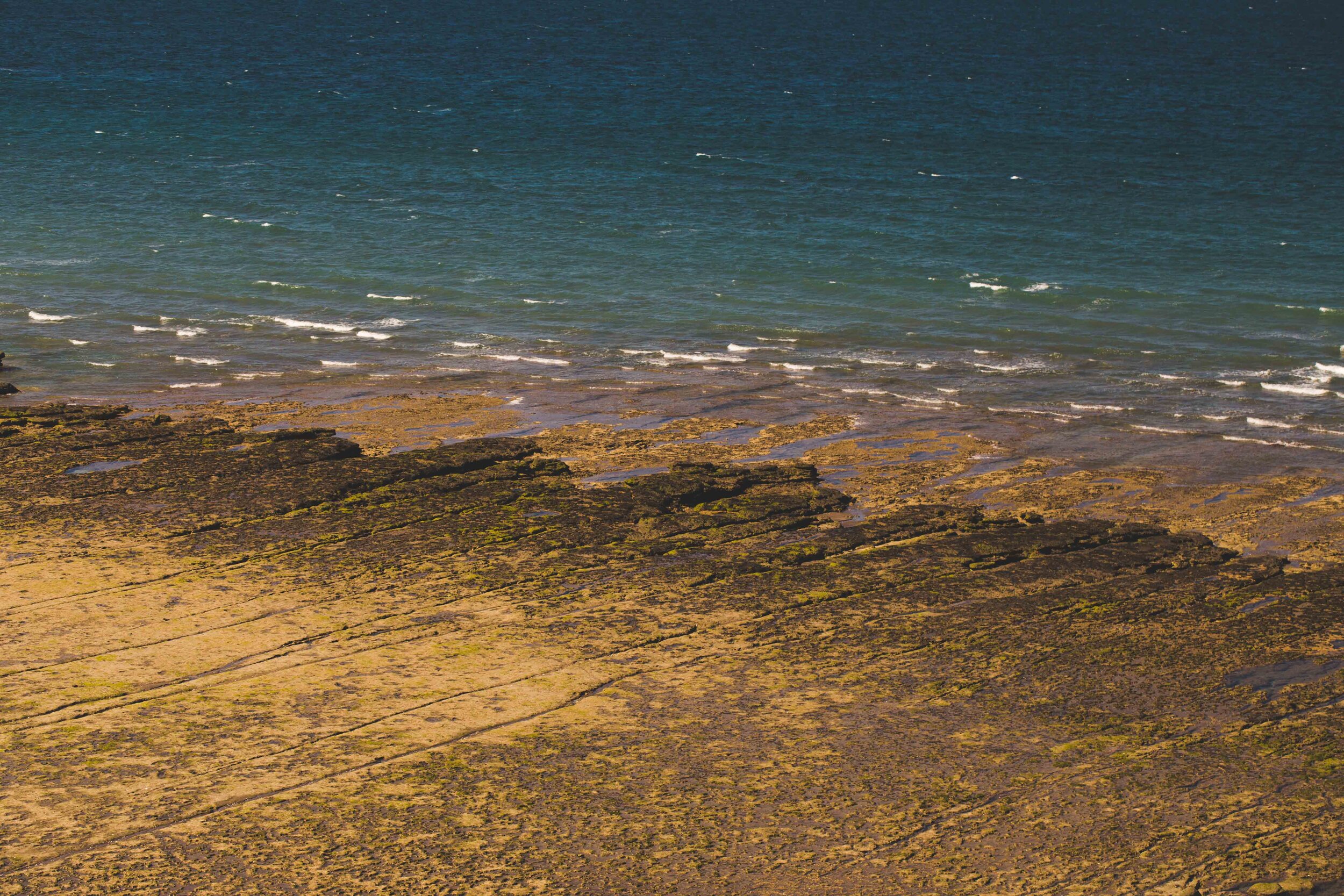 Copy of seleccion-27.jpg