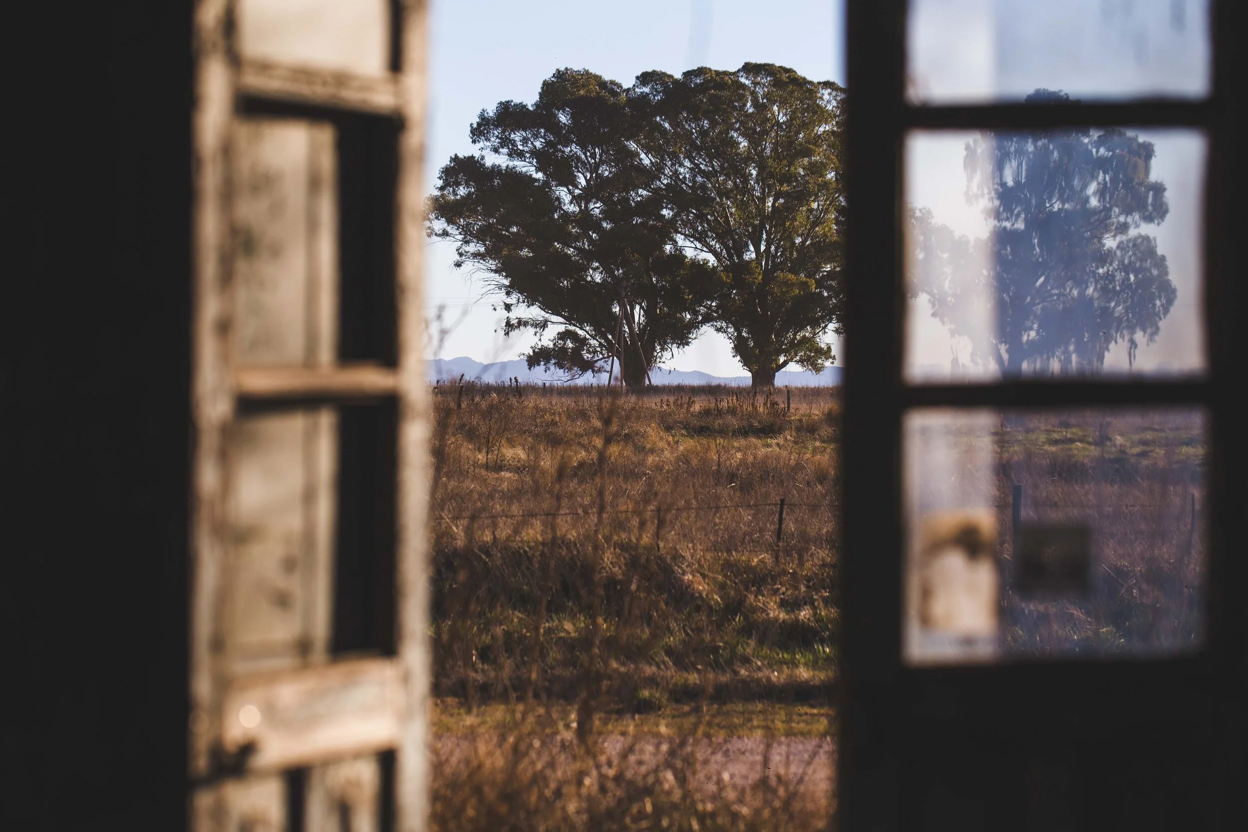 Copy of seleccion-26.jpg