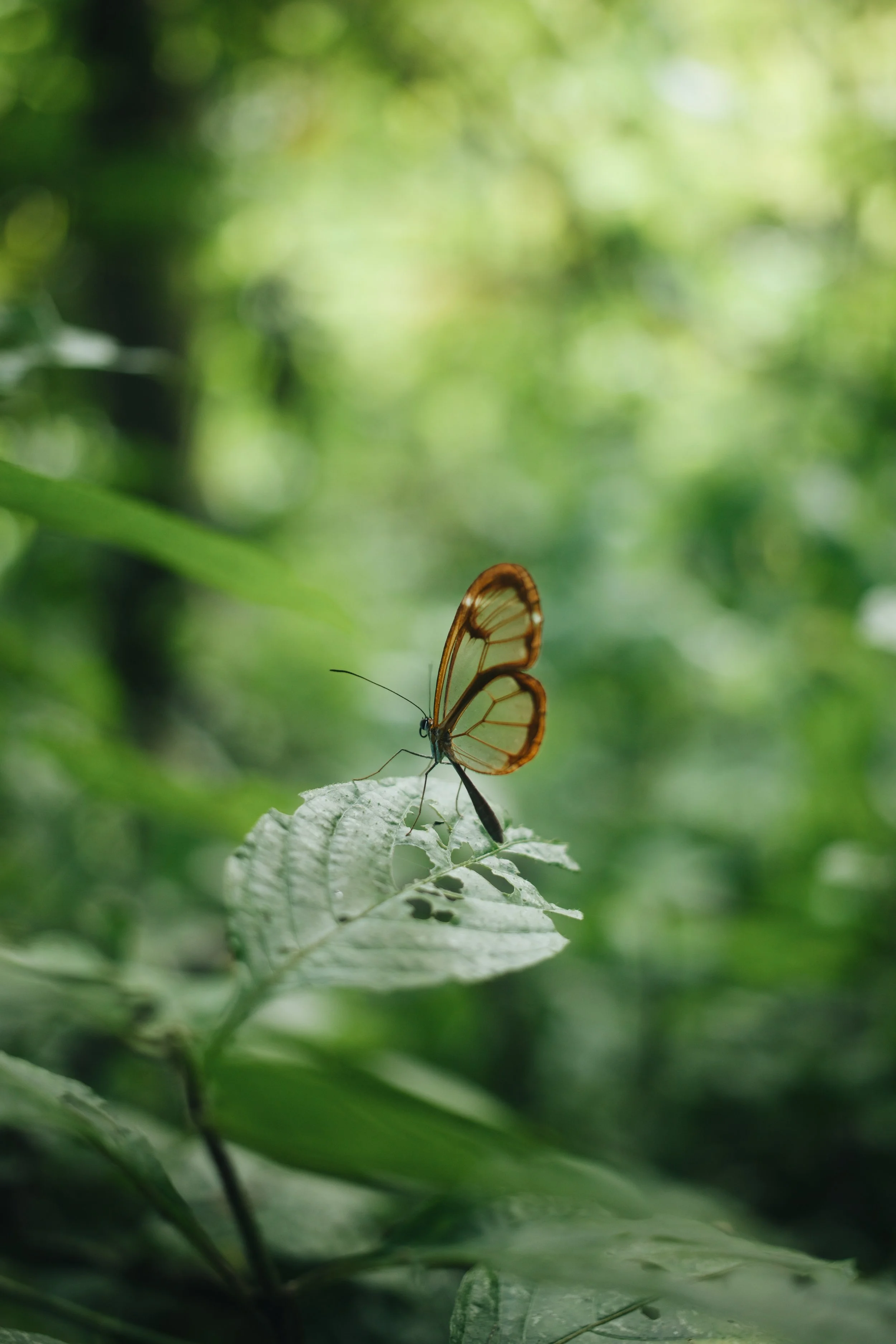 E374CA81-1D91-4A5A-A8A6-4707F4800C3A.JPG