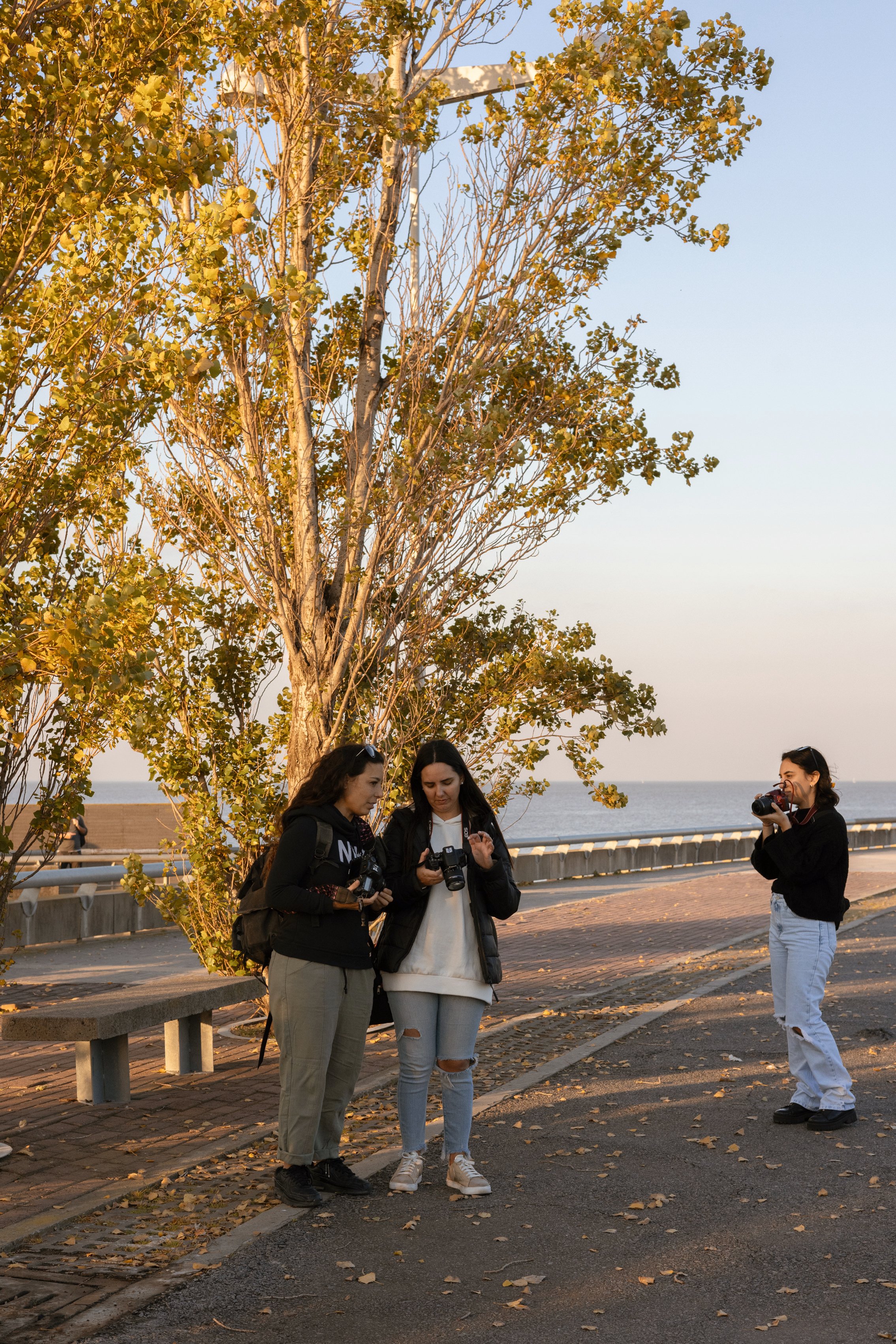 083A3989 Photofield.JPG