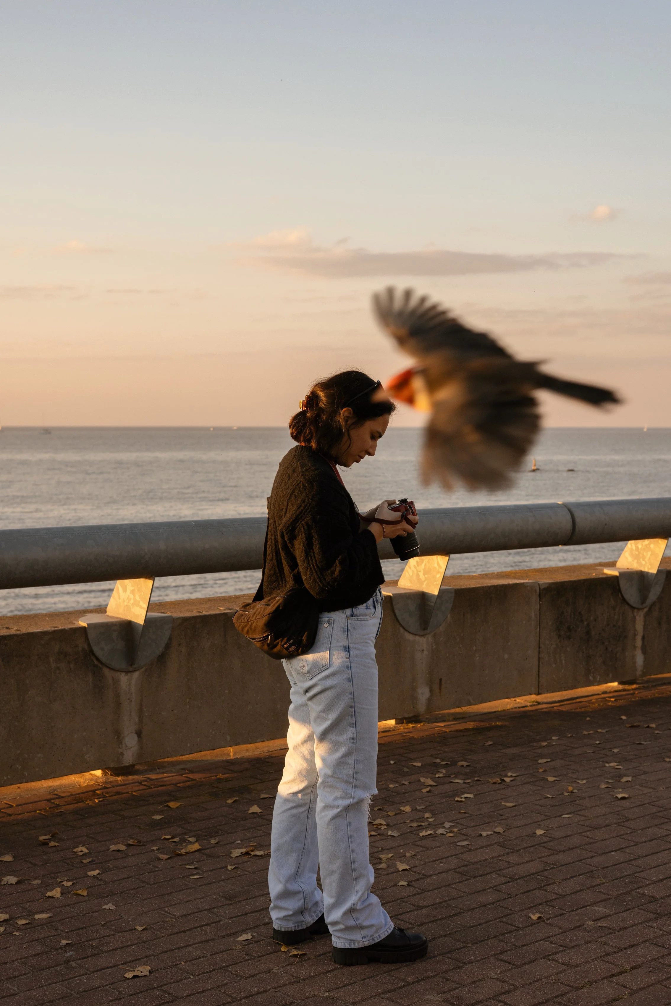 083A4009 Photofield.JPG