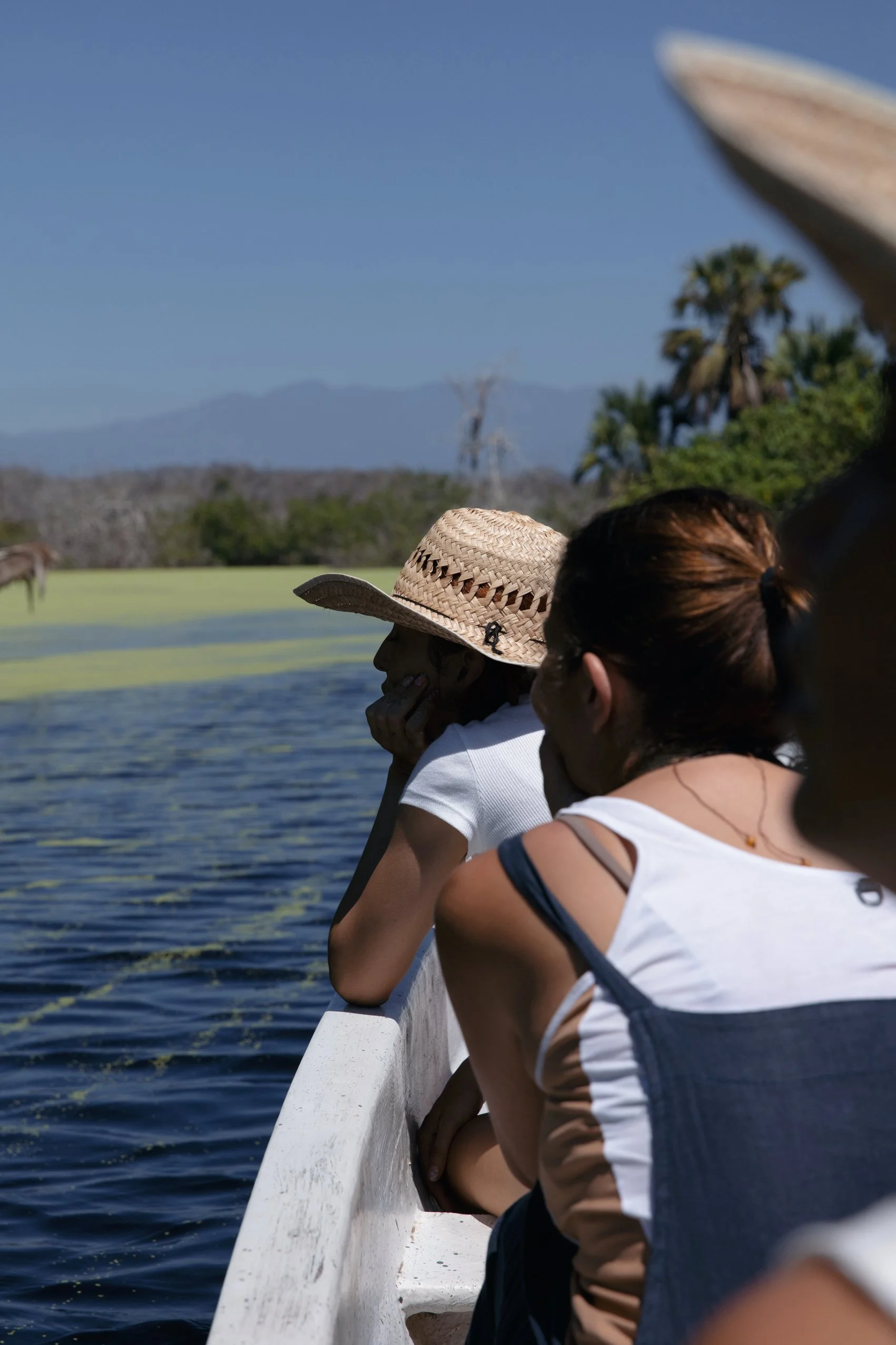 4M5A5600 Photofield.jpg