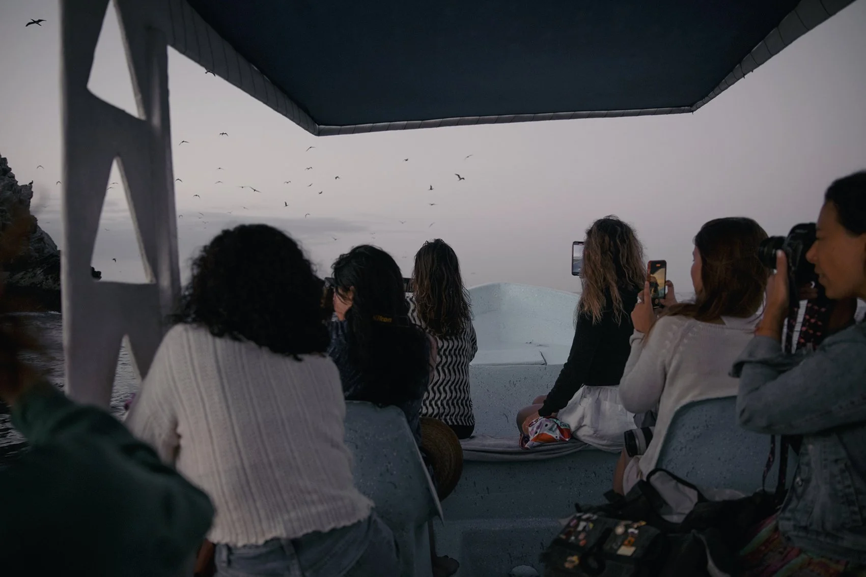 4M5A5973 Photofield.jpg