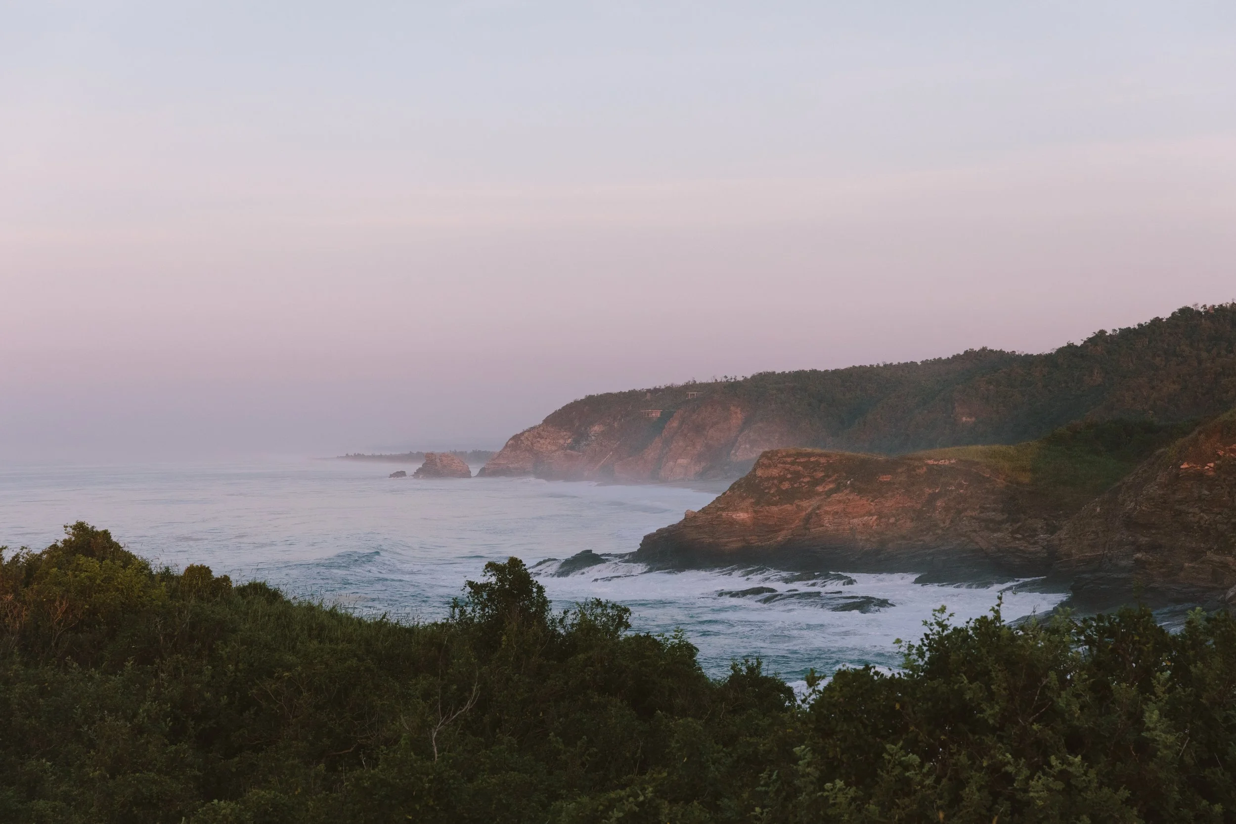 4M5A2762 Photofield.JPG