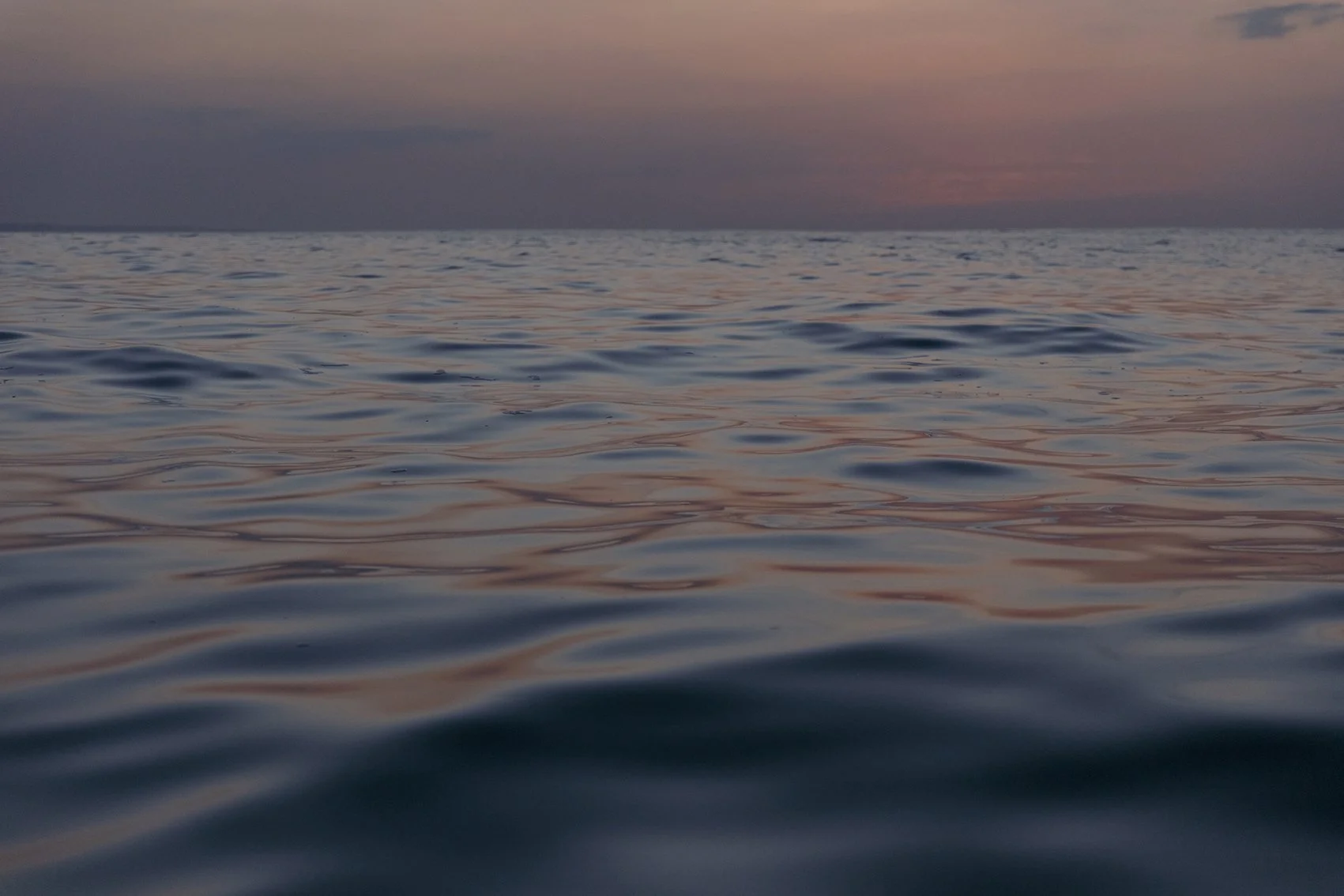 4M5A5992 Photofield.jpg