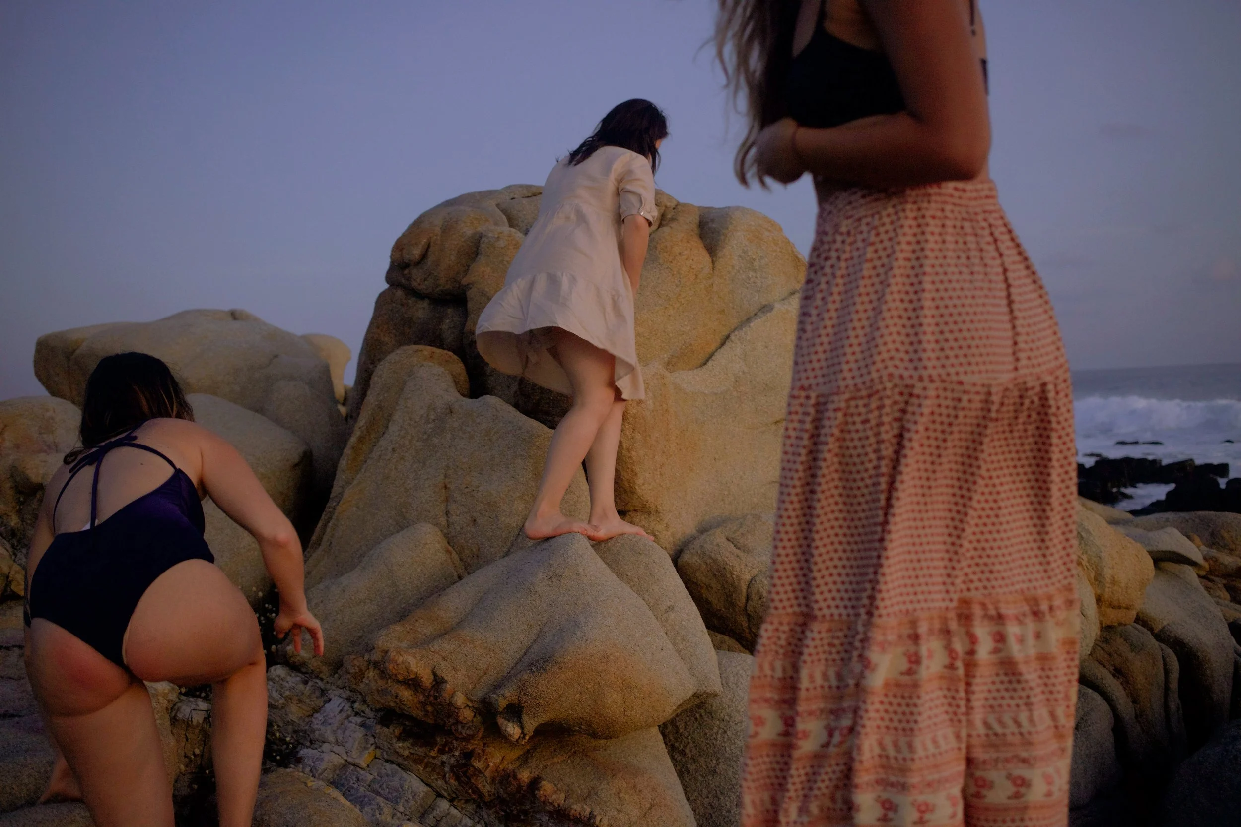 4M5A3128 Photofield.JPG