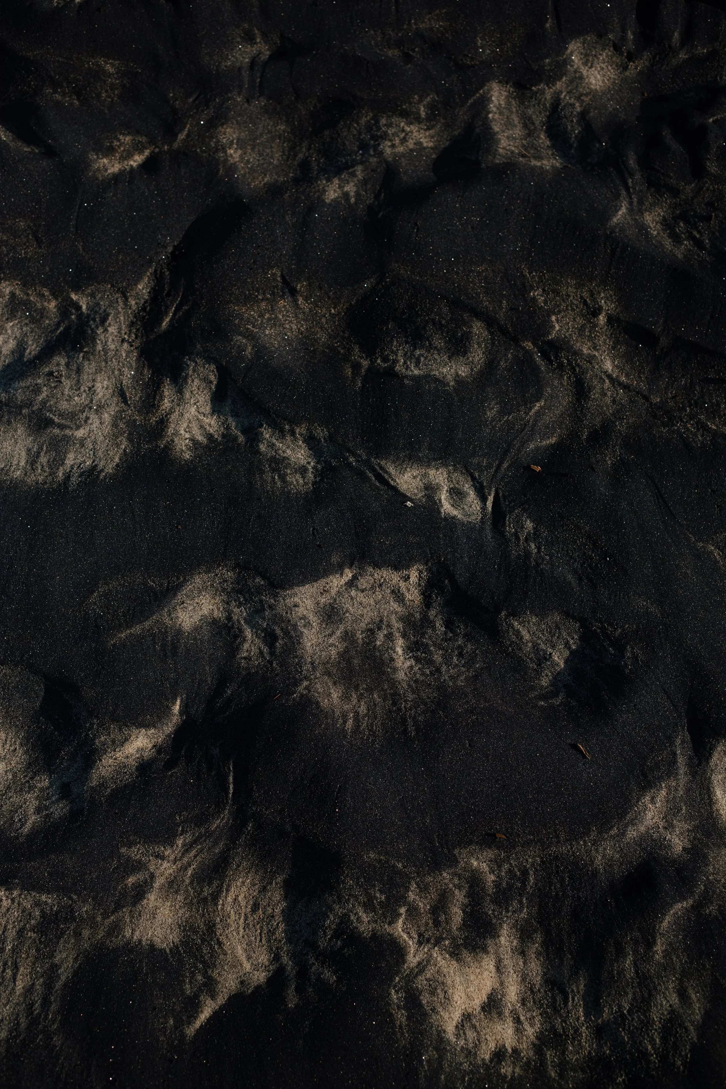 4M5A2831 Photofield.JPG