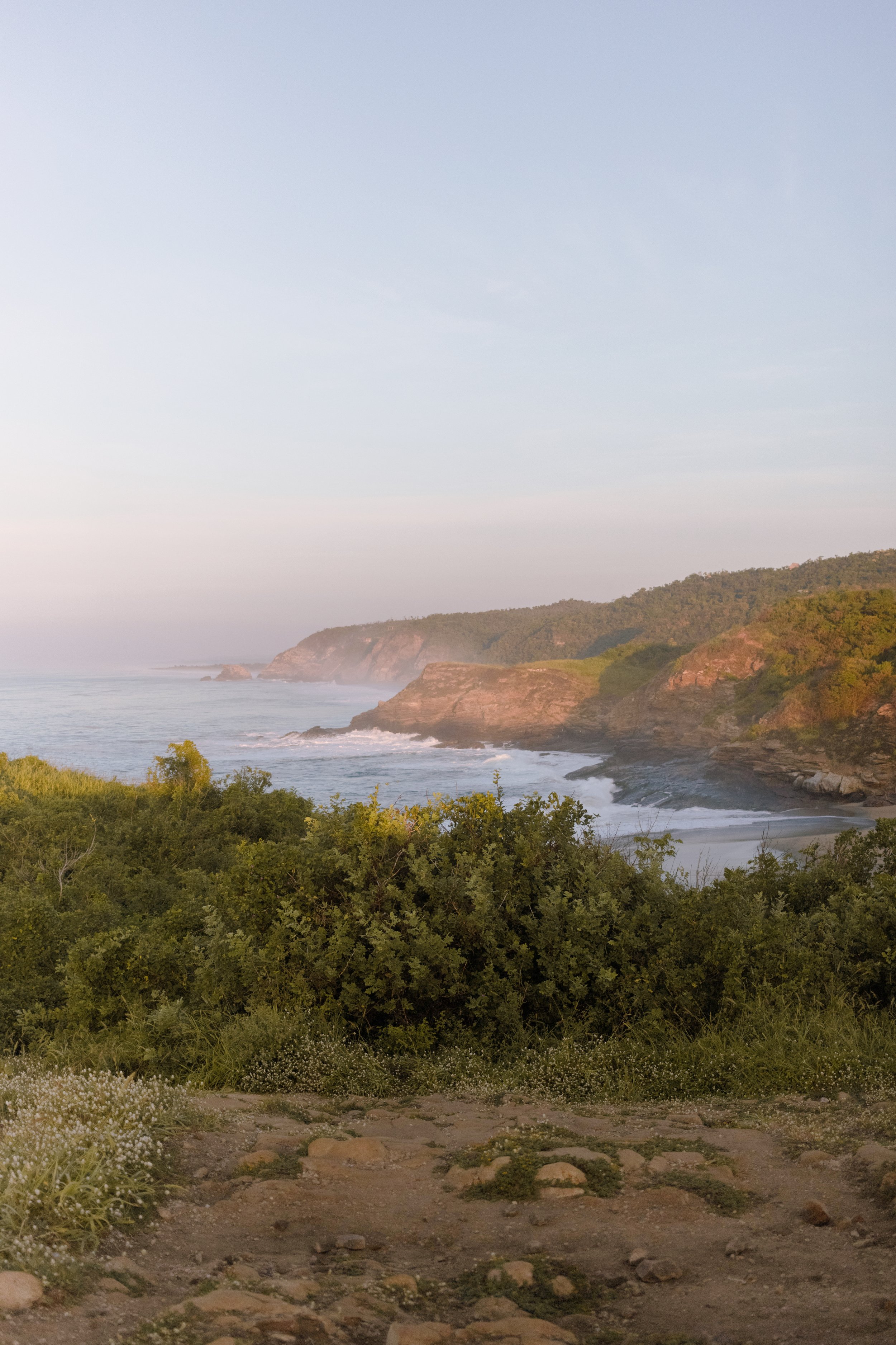 4M5A2781 Photofield.JPG