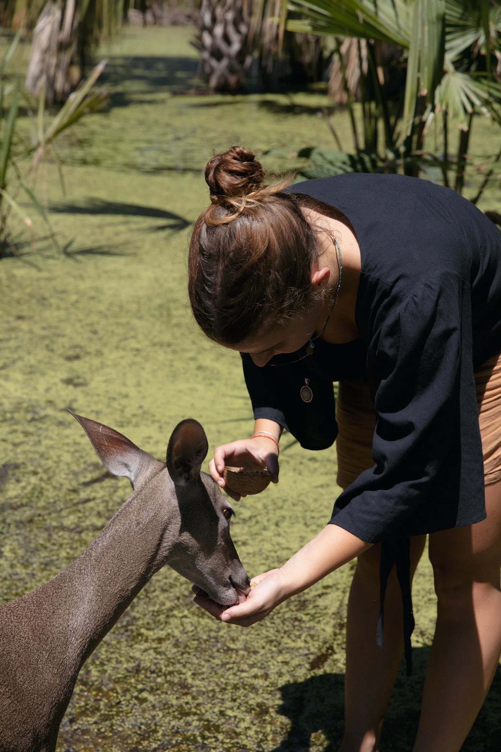 4M5A5619 Photofield.JPG