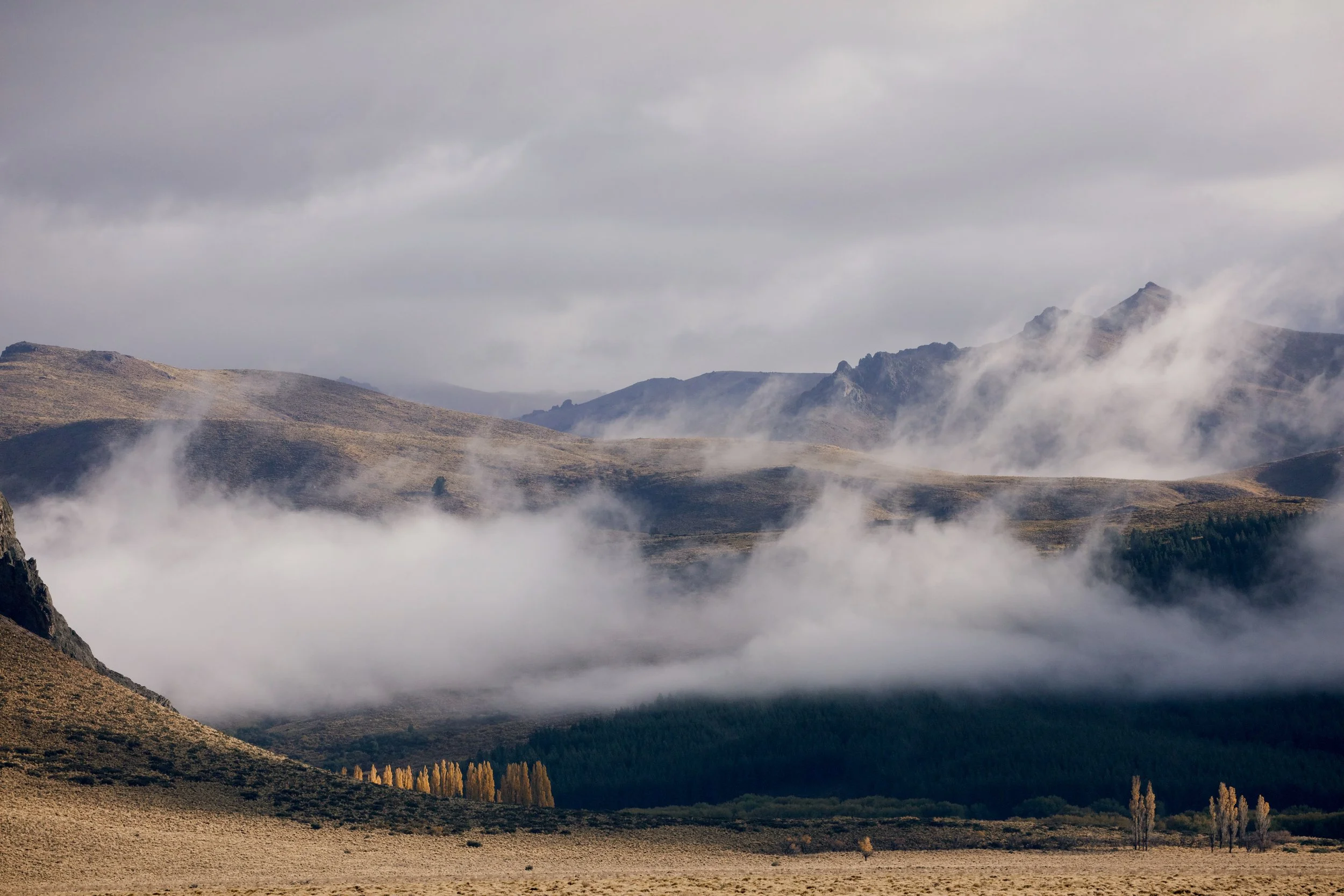 4M5A9047 Photofield.JPG